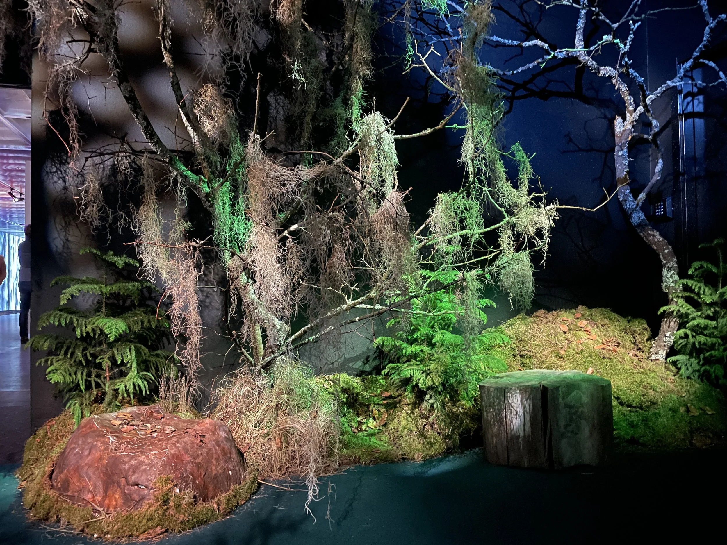 Fotografiska "In Bloom" exhibition