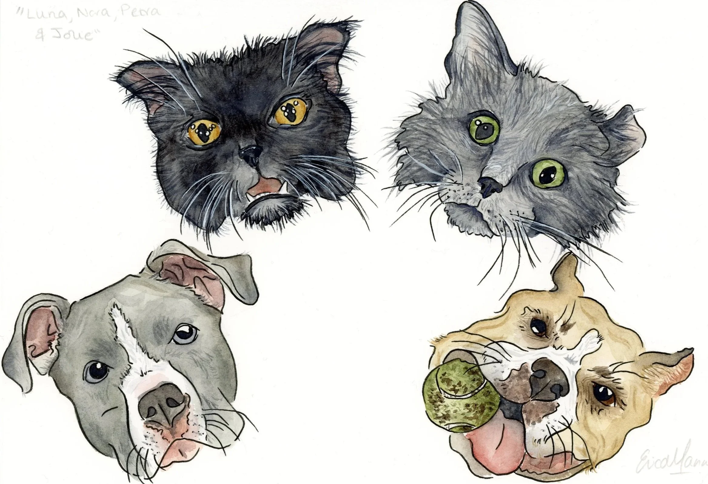 Why I offer 2 Types of Pet Painting: The key difference between ‘Fridge Art’ and Premium Pet Portraits