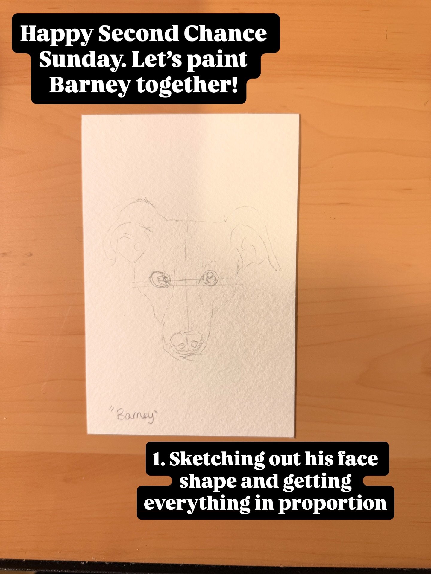 Happy Second Chance Sunday! Today I&rsquo;m walking you through how I painted Barney!

Barney is a whippet looking a for a new clam, patient home with @rats.animalrescue 

#rescuedog #animalrescue #secondchancesunday #petportrait #fuzzleduck