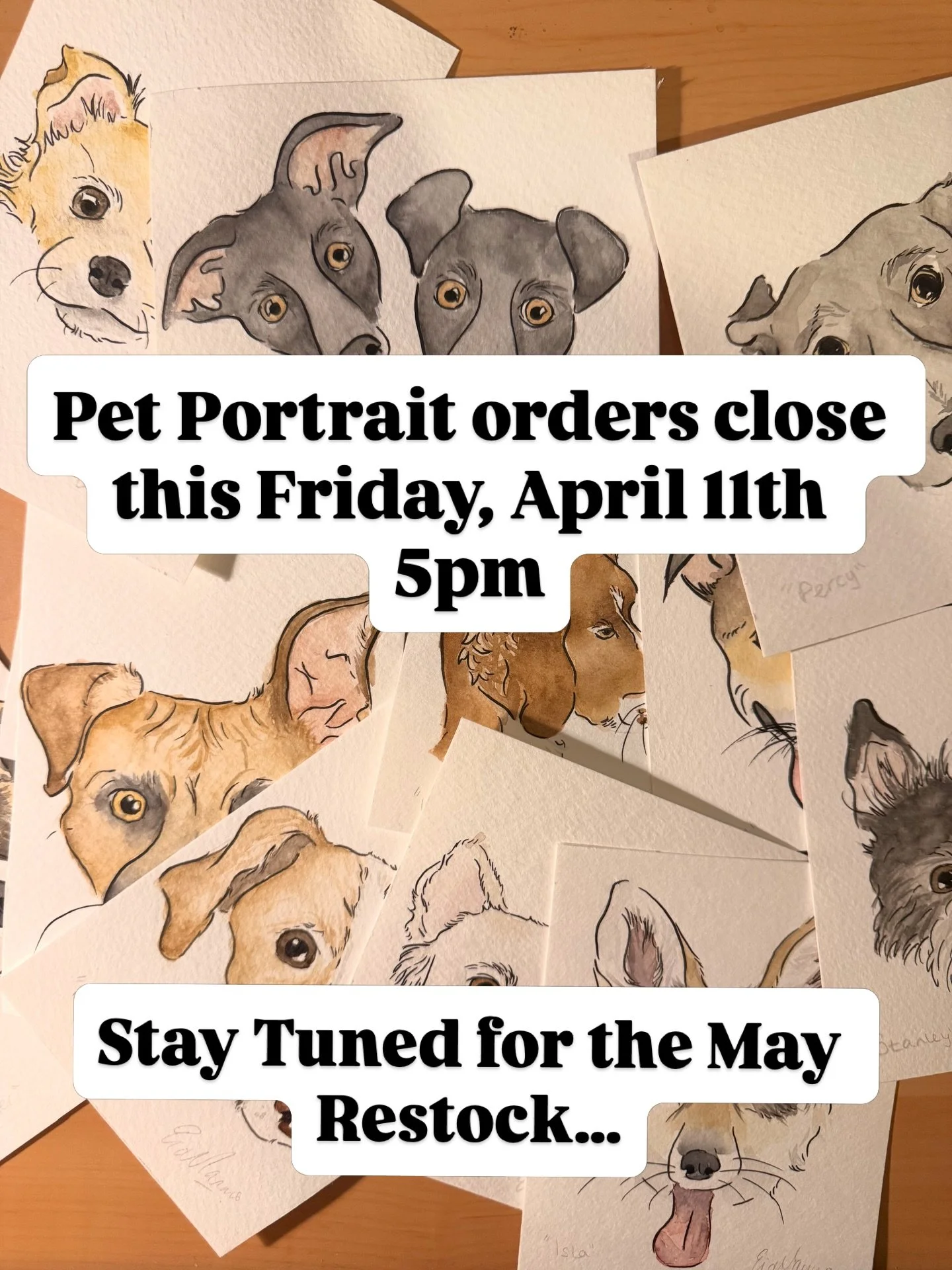 I&rsquo;m heading off on honeymoon and websites fully closing down for a while.. been debating a pet portrait? Now&rsquo;s your last chance !

#petpainting #livepetart #perportrait #fridgeart #fuzzleduck