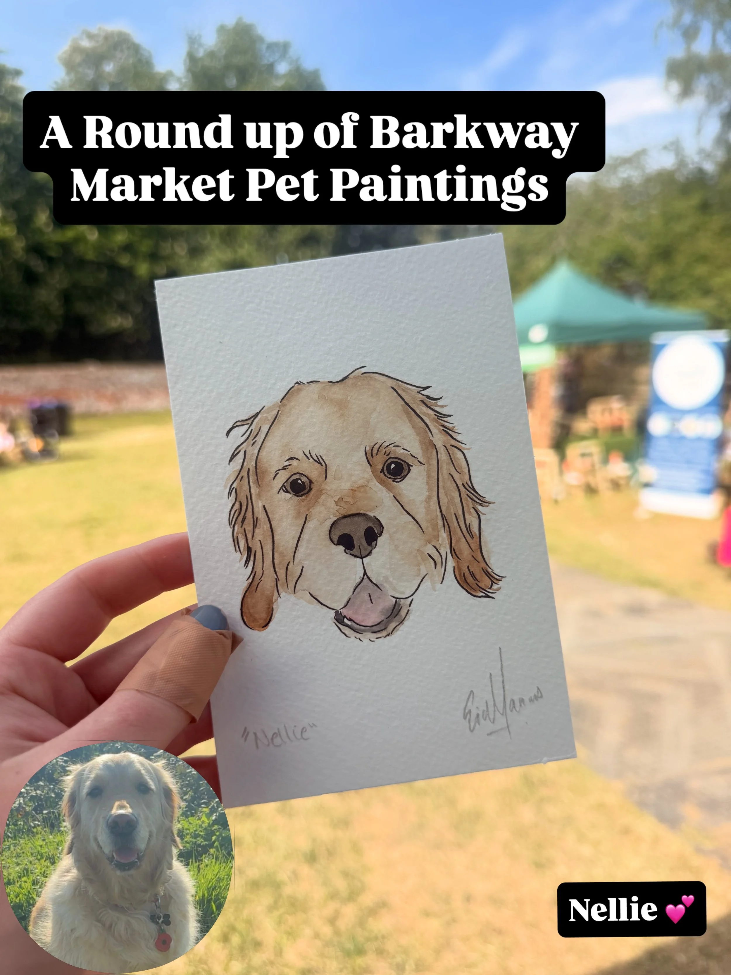 A round up of some of the pet paints I completed at Barkway Market this time last week, please share your painting of their not here!

Barkway is one of my favourite events and I&rsquo;m so glad I got send another year live painting in the sun ☀️ 

I