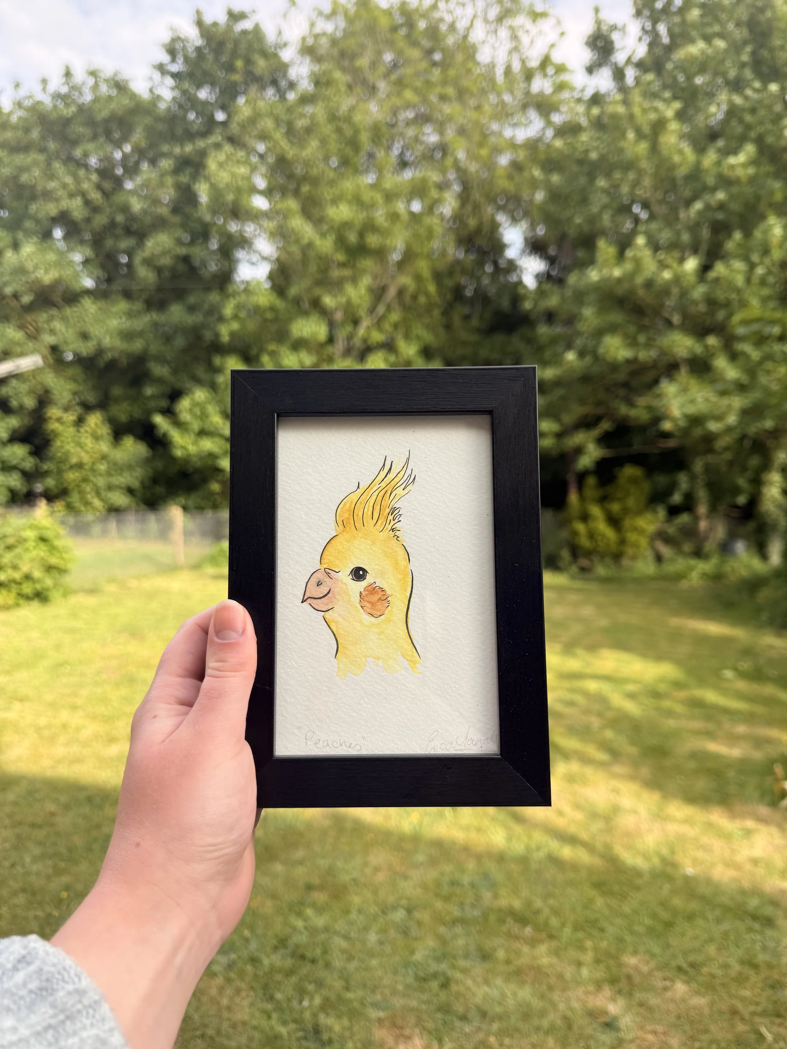 4" x 6" Frame