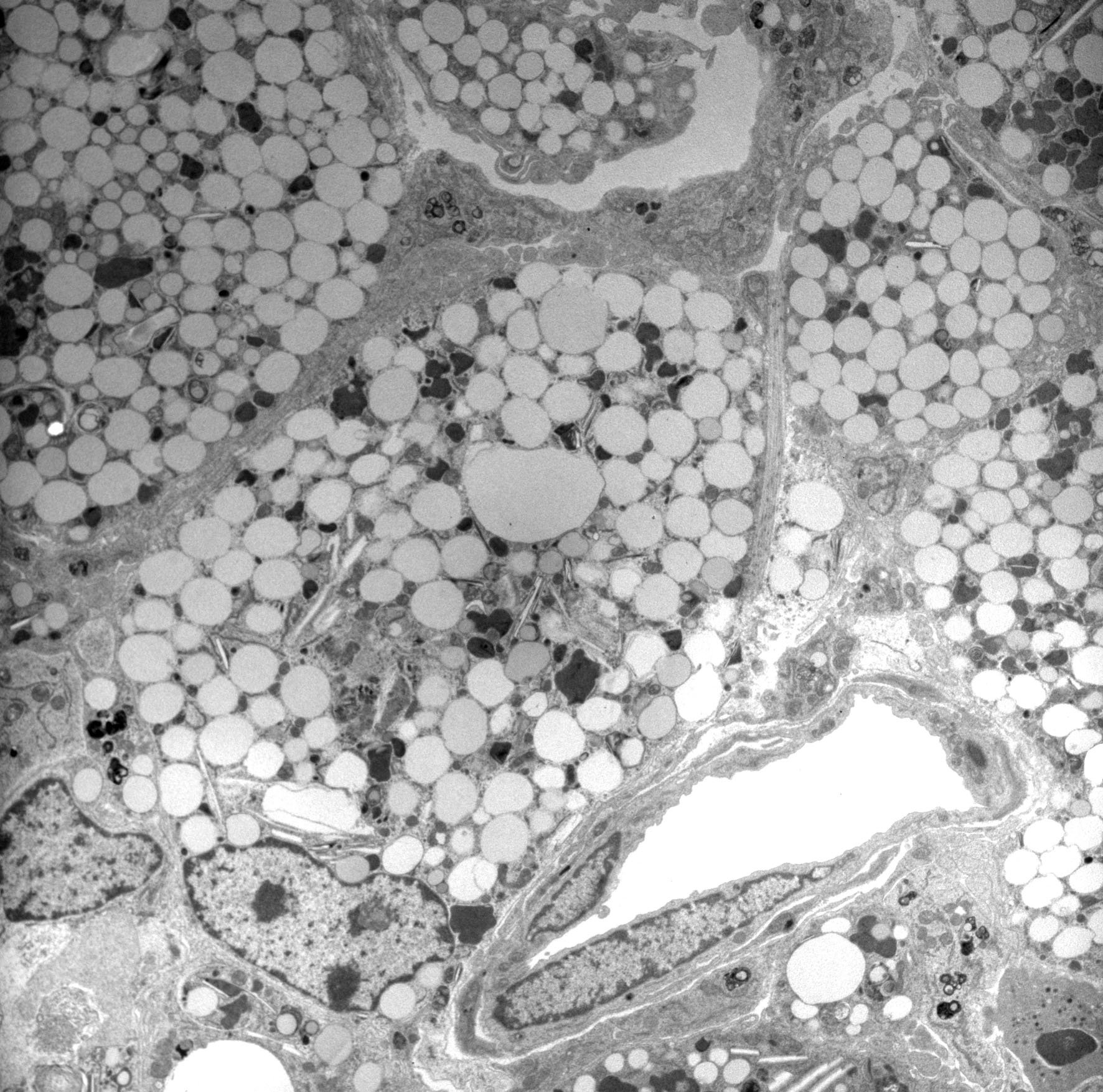 About Doyle Lab about-doyle-lab