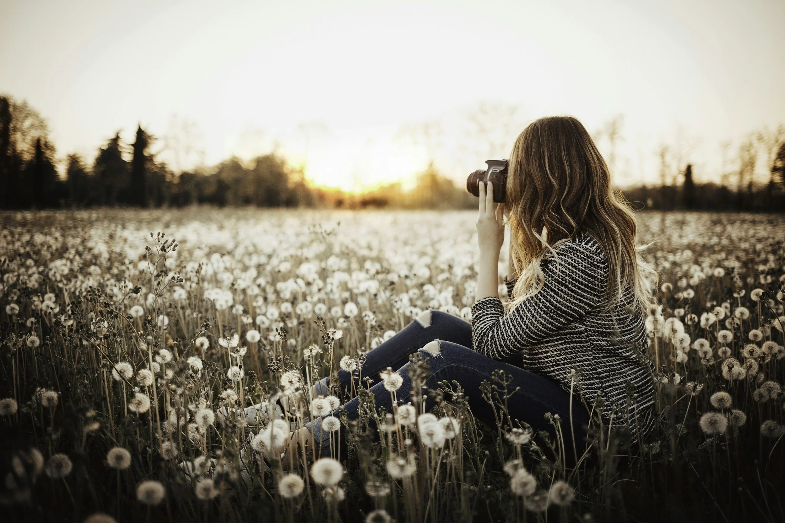 5 Reasons to Invest in Professional Website Images