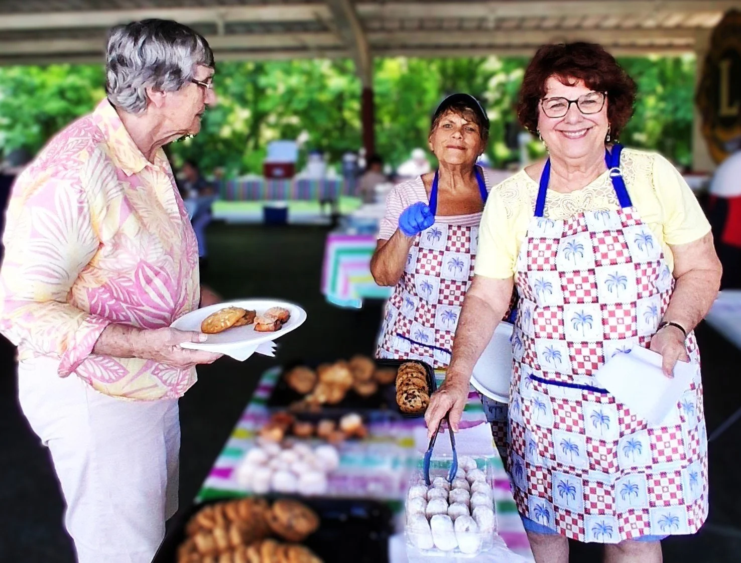 Parish picnic Aug. 2026