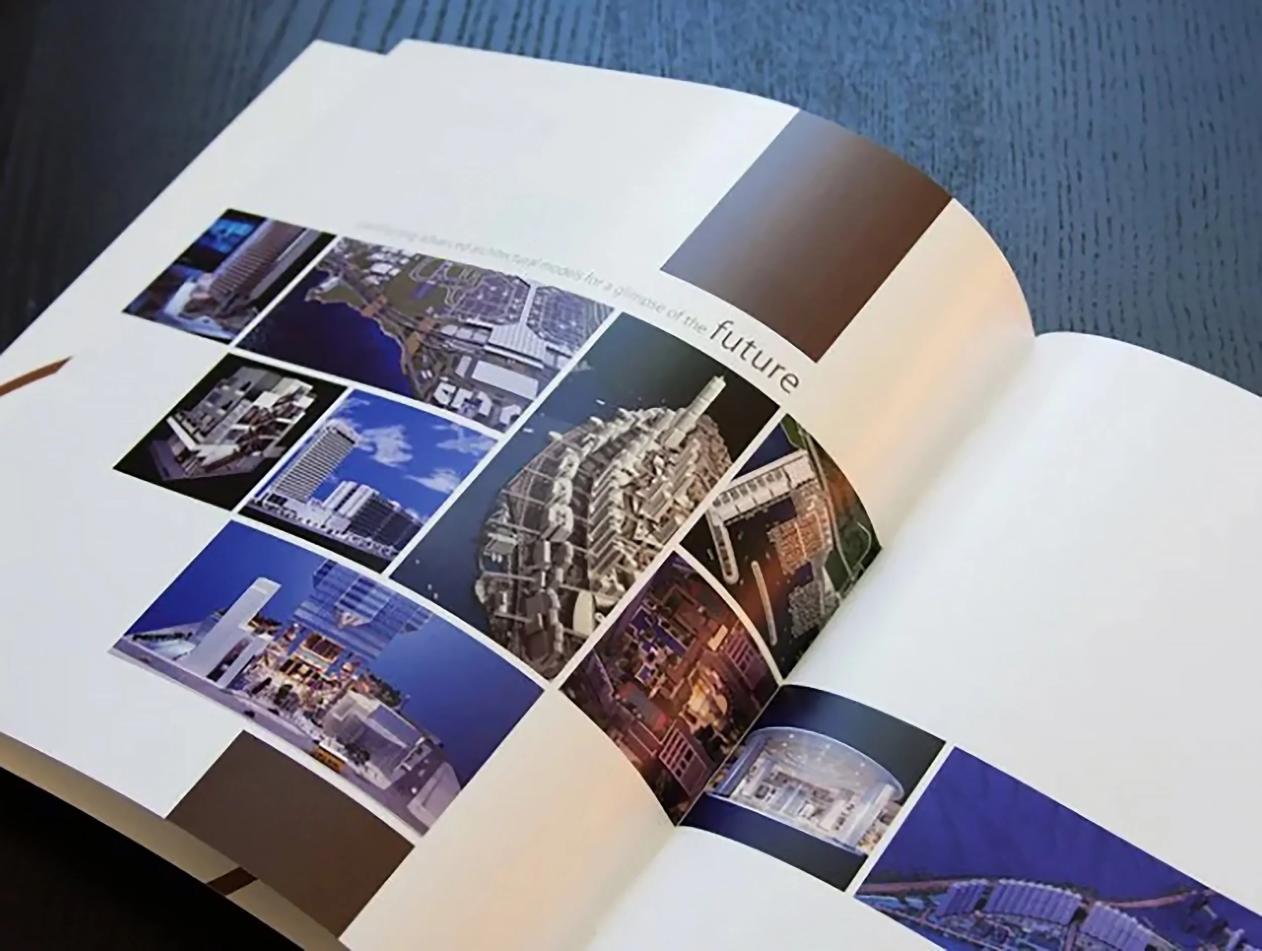 RCI Brochure & Poster Design
