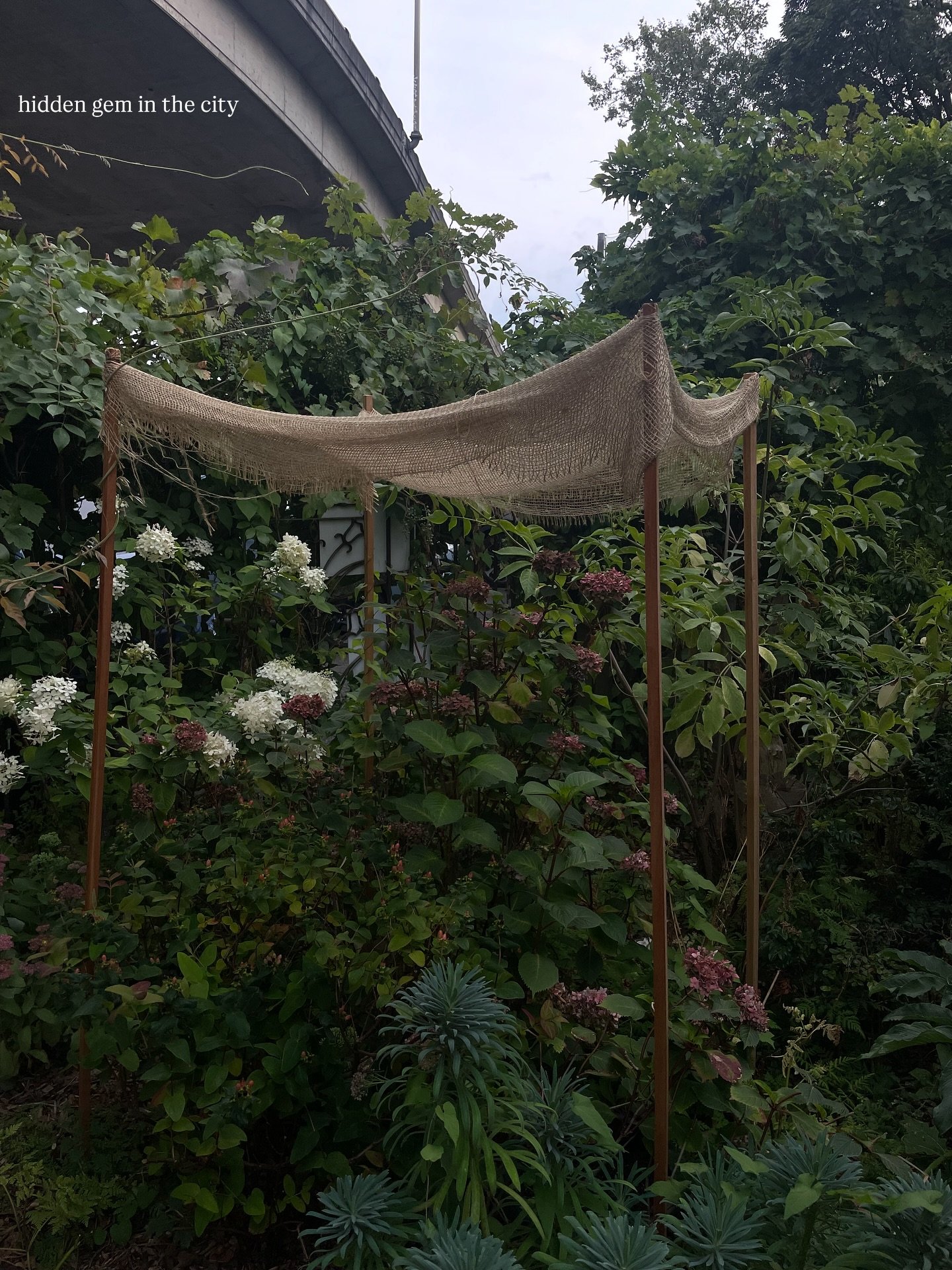 quick 36 hours in seattle 💌 grateful to have called this pretty city home for so many years. worth every long hour in the car!