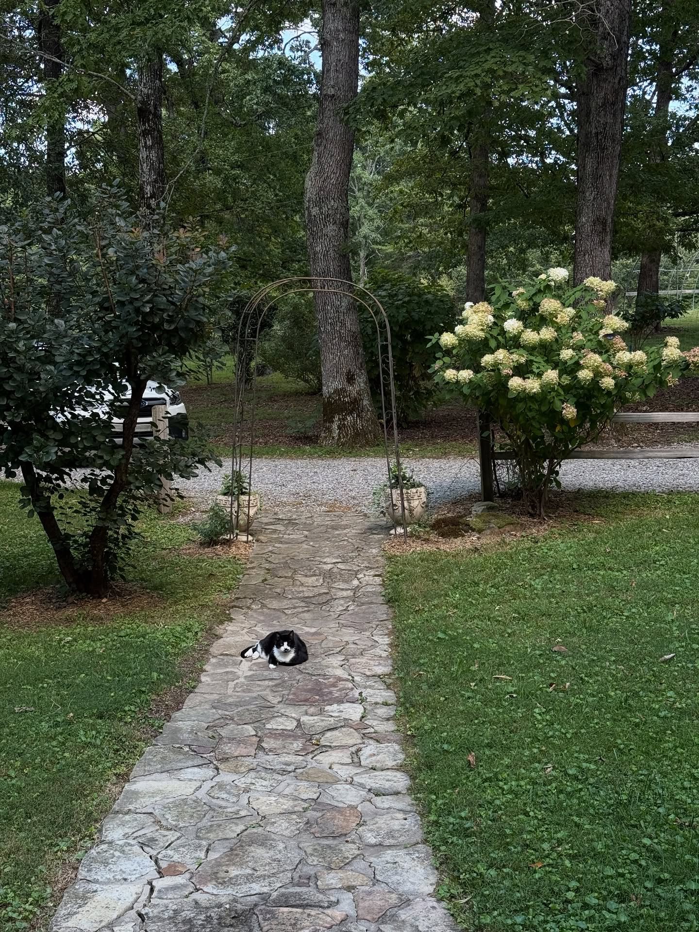 the air is feeling a little bit brisk and i&rsquo;m getting the urge to binge watch twilight which could only mean one thing &mdash; fall is slowly rolling in 🍂 enjoy some scenes from my weekend in the SE!