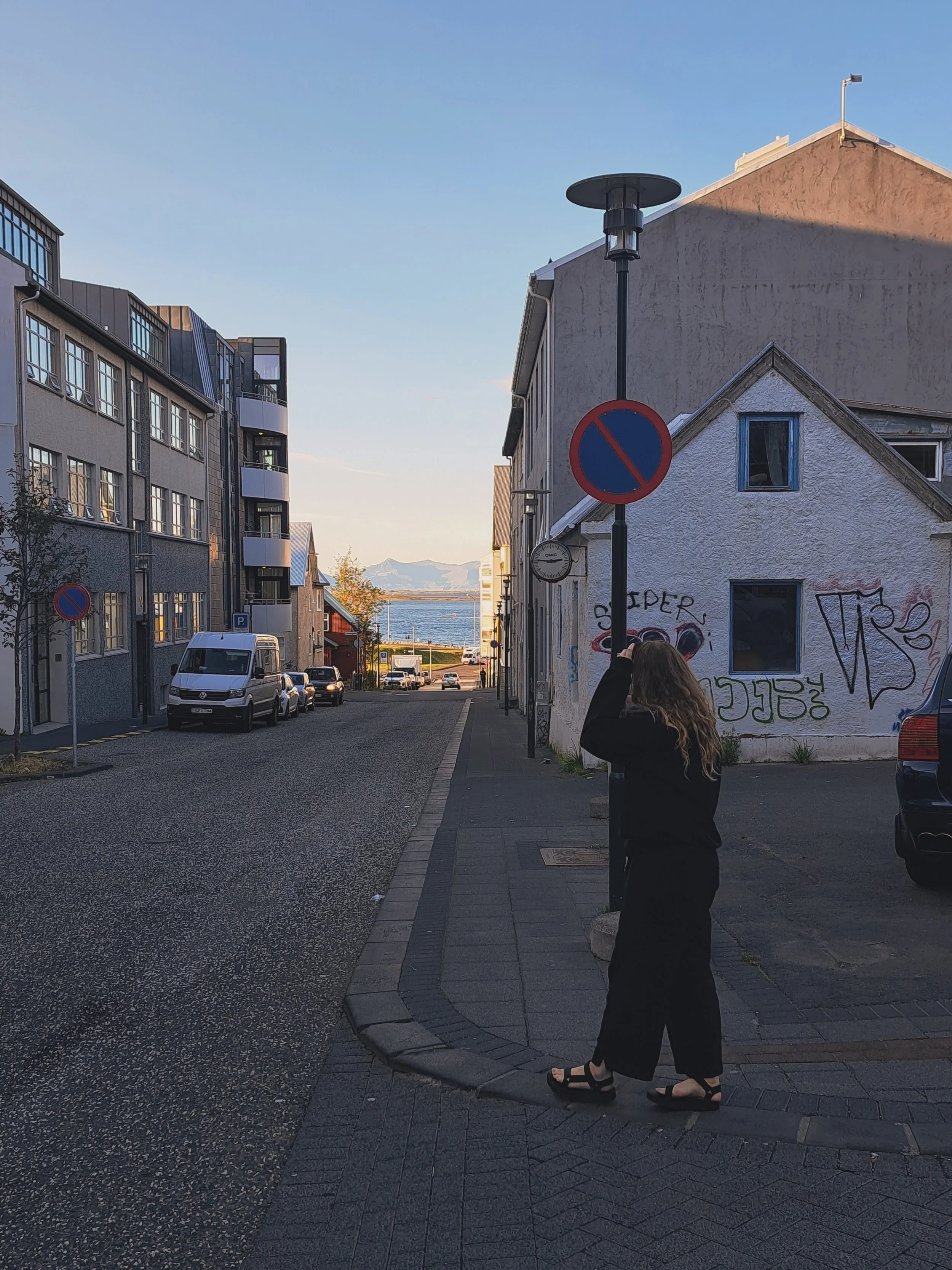every photo of me in iceland is in this outfit because all my luggage was lost on the way over 💅
