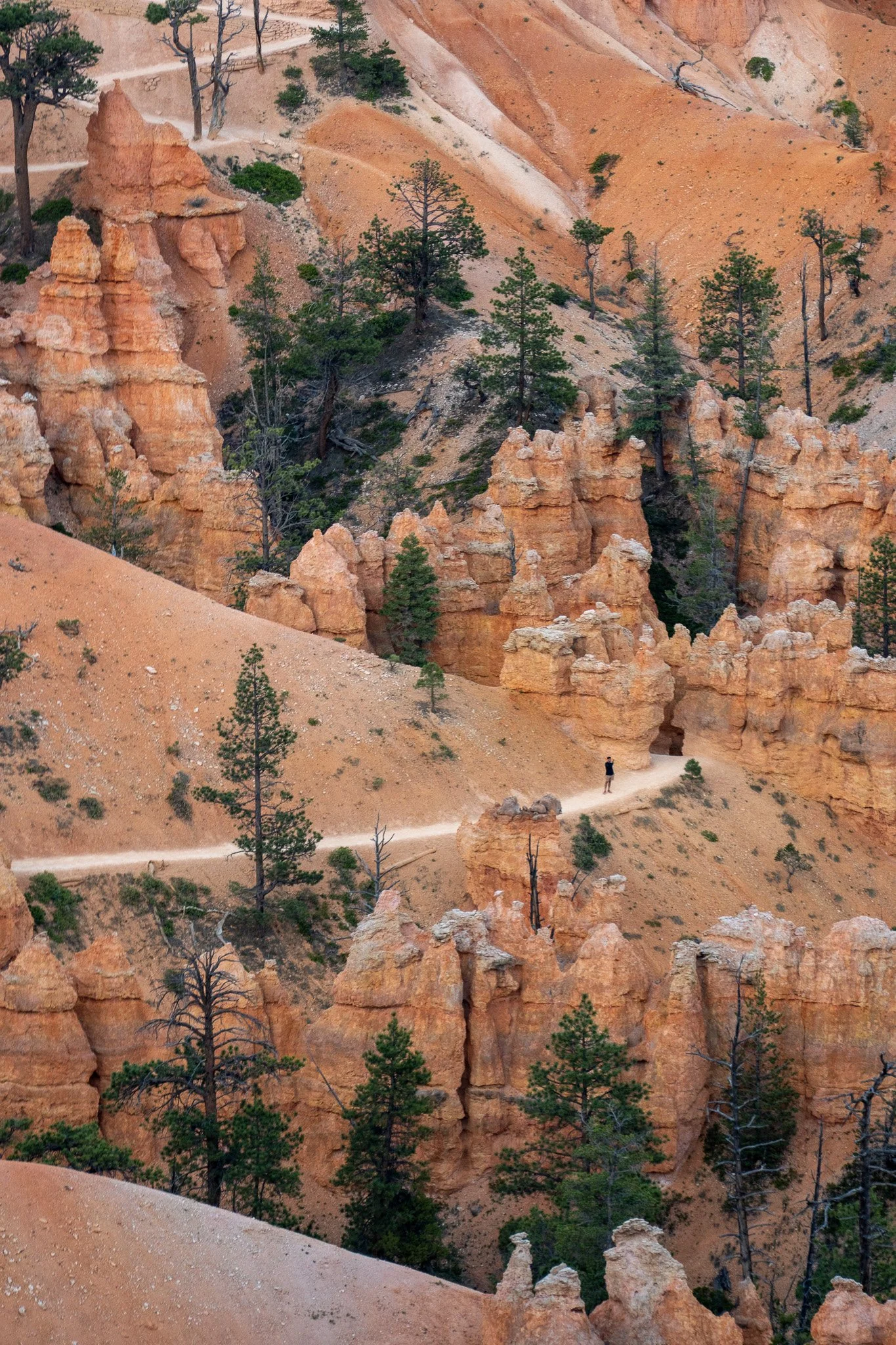 man standing inside bryce, utah, usa.jpg