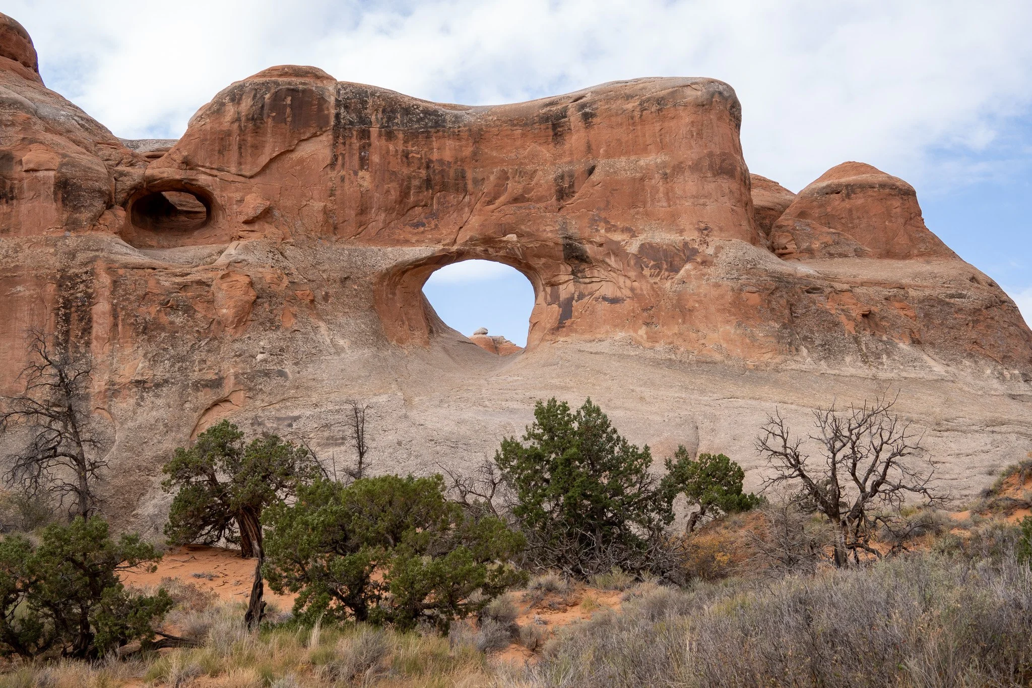 arch with trees at arches national park, usa.jpg