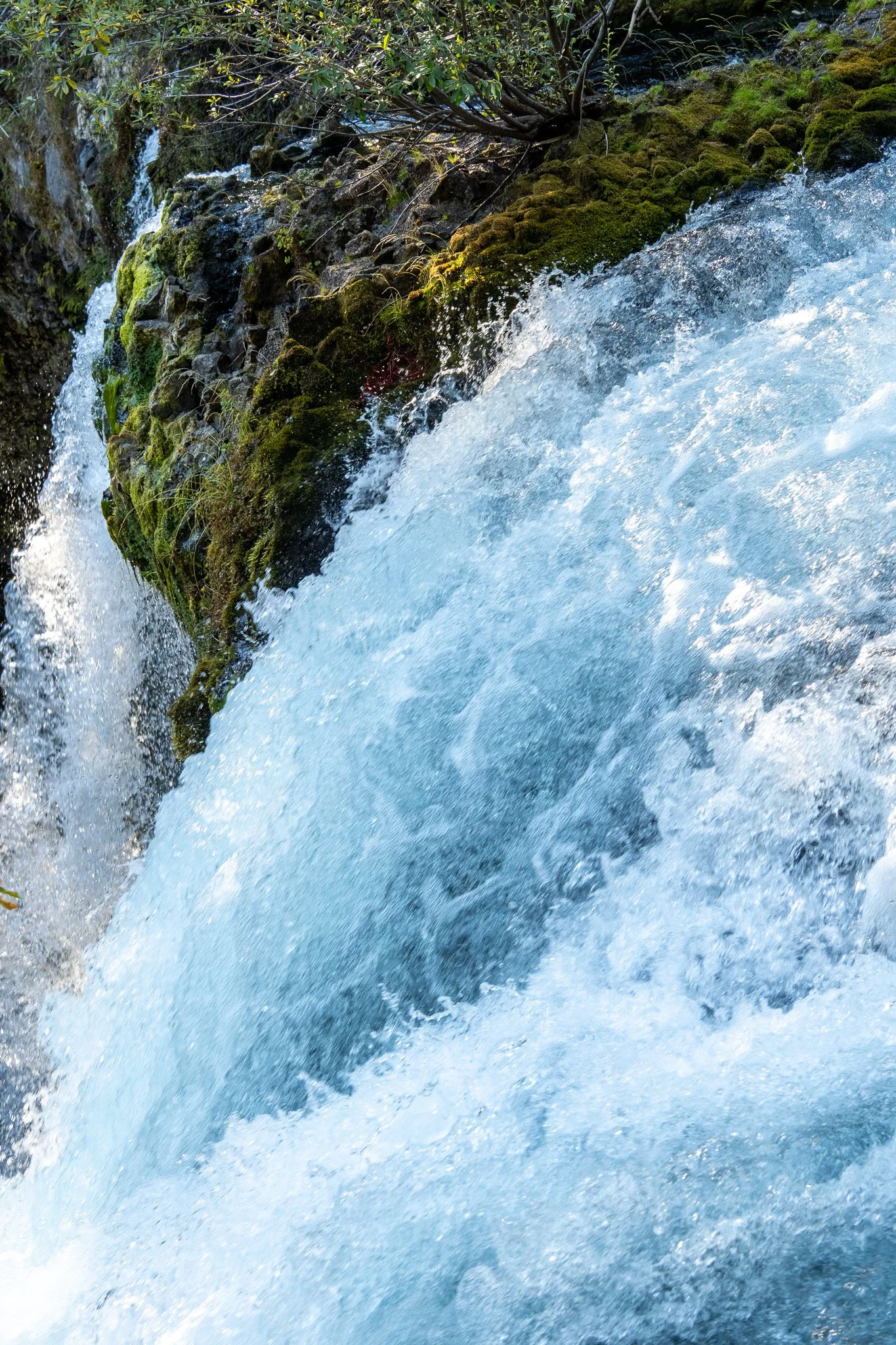 close up of koosah waterfall, oregon, usa.jpg