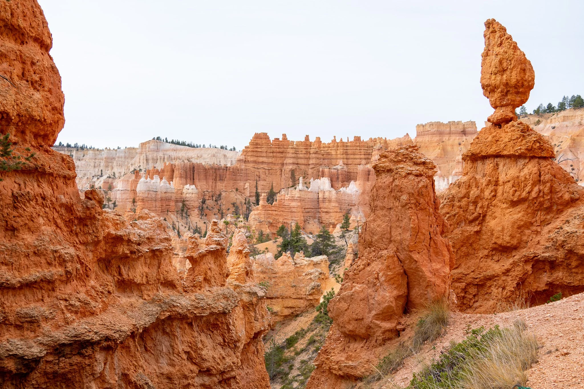 hoodoo structures of bryce canyon national park, usa.jpg