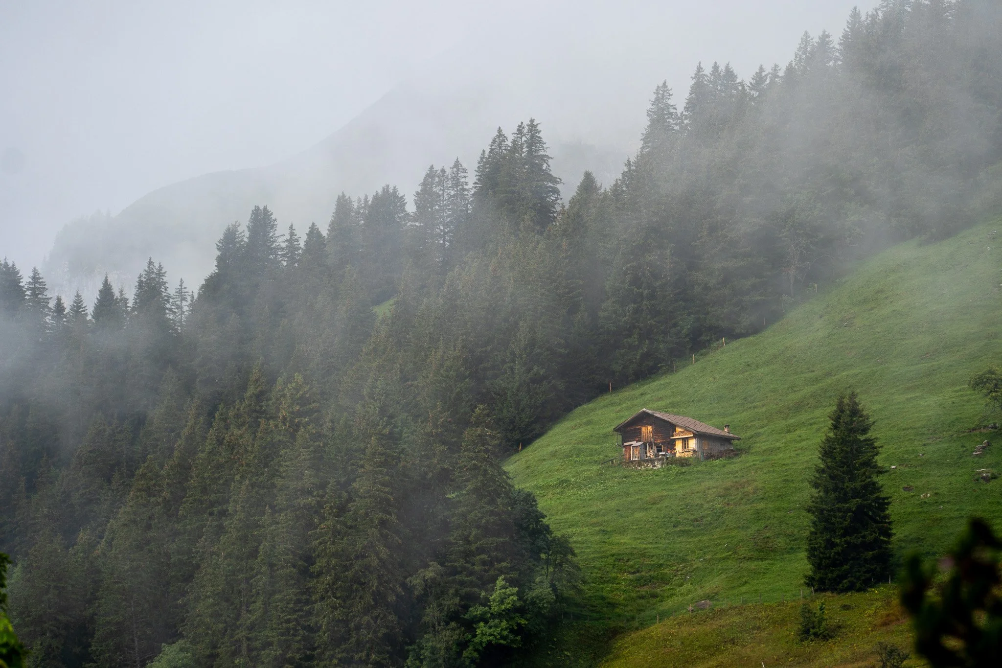 single cabin on hill, murren, switzerland.jpg