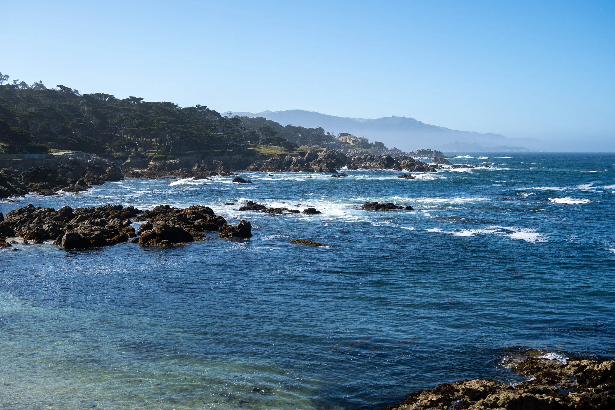 ocean view monterey, california, usa.jpg