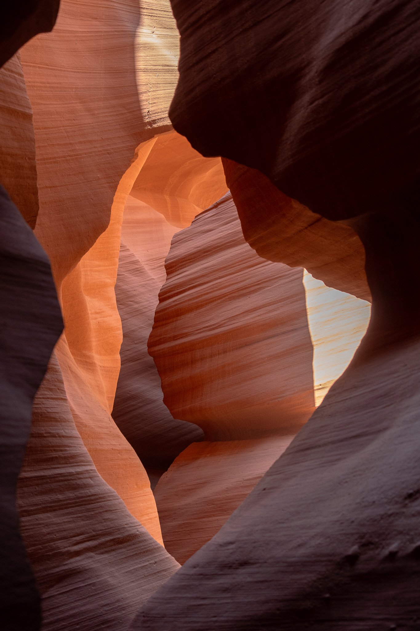 a face in antelope canyon, usa.jpg