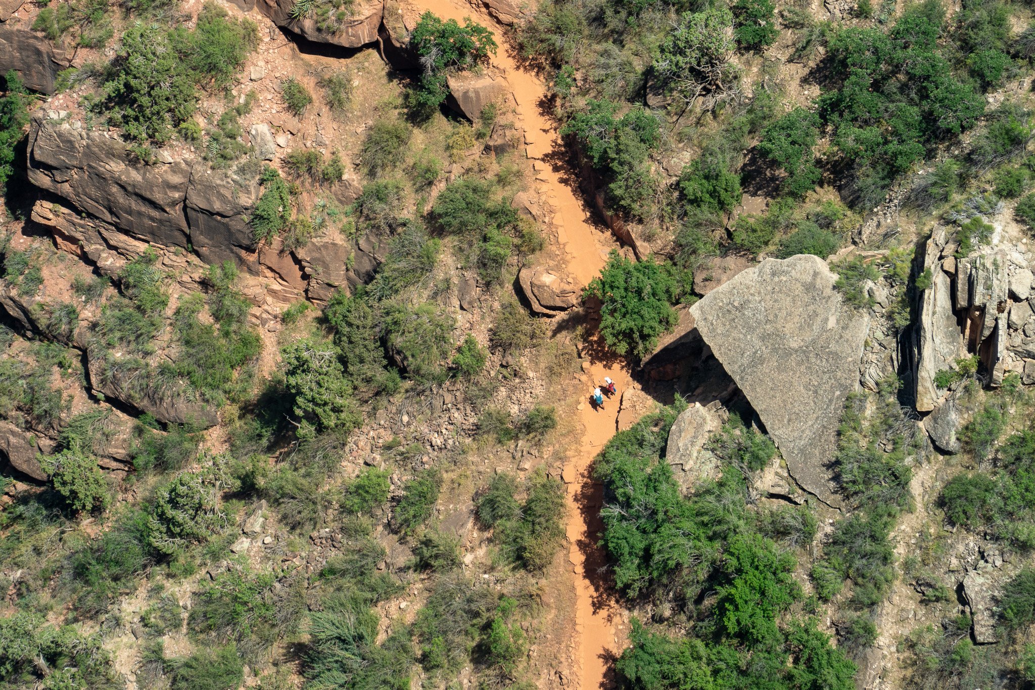 people walking in grand canyon, usa.jpg
