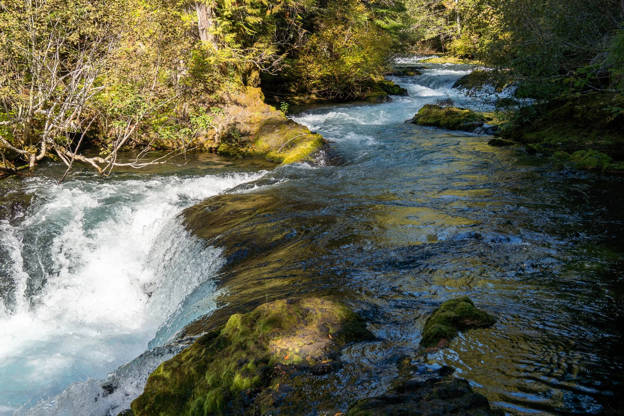 river and tiny waterfall, oregeon, usa.jpg