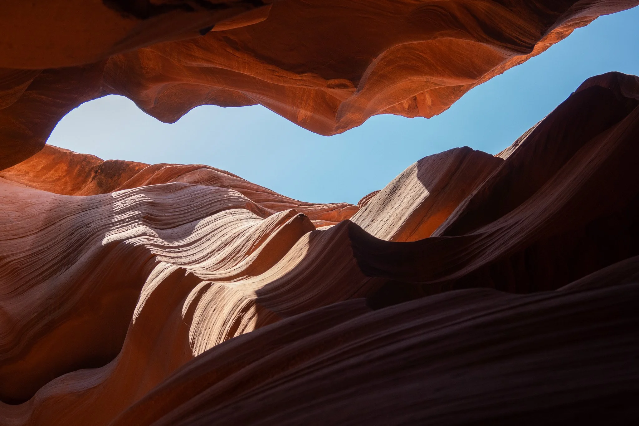 looking up in antelope canyon, usa.jpg