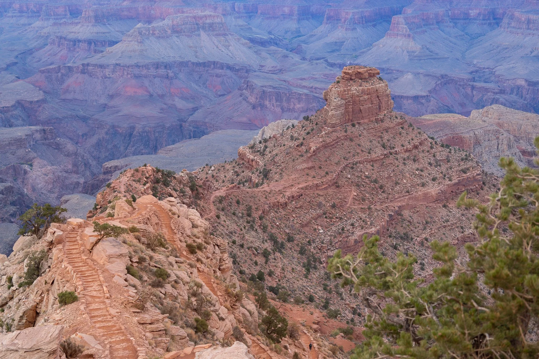part of south kaibab trail, grand canyon, usa.jpg