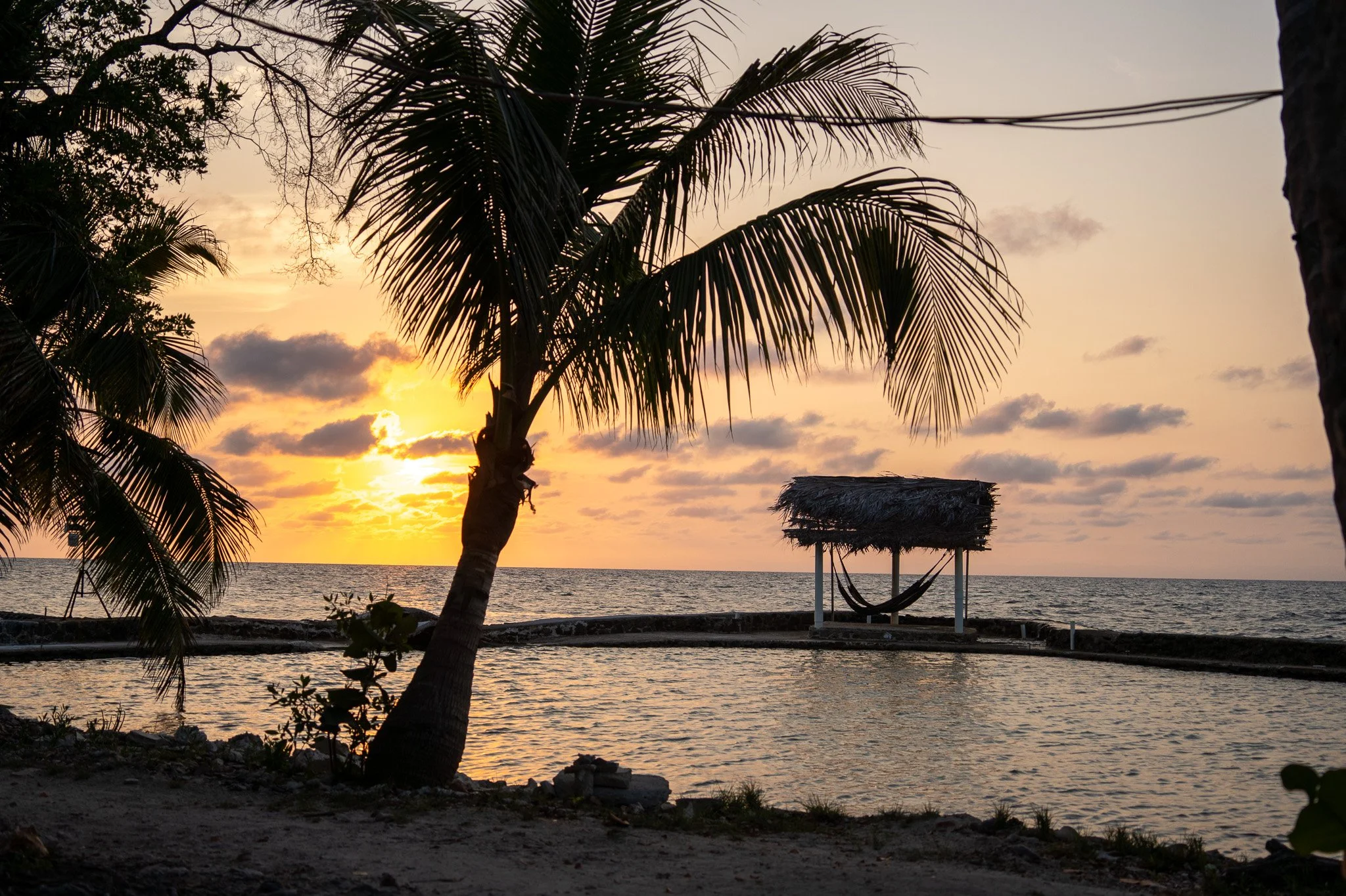 hammock on island, belize.jpg