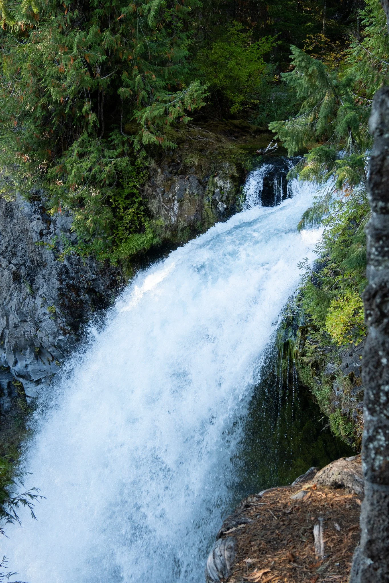waterfall close up, oregon, usa.jpg
