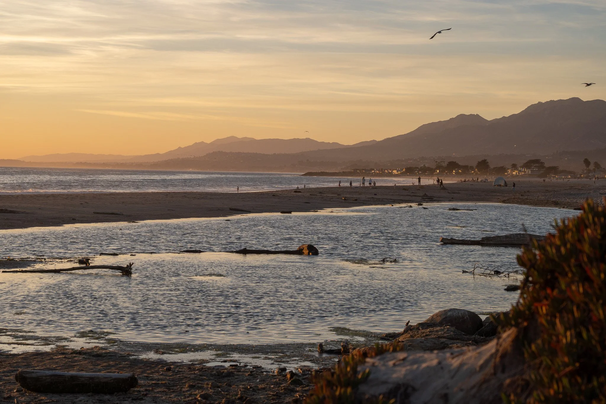 beach of carpinteria at sunset, california, usa.jpg