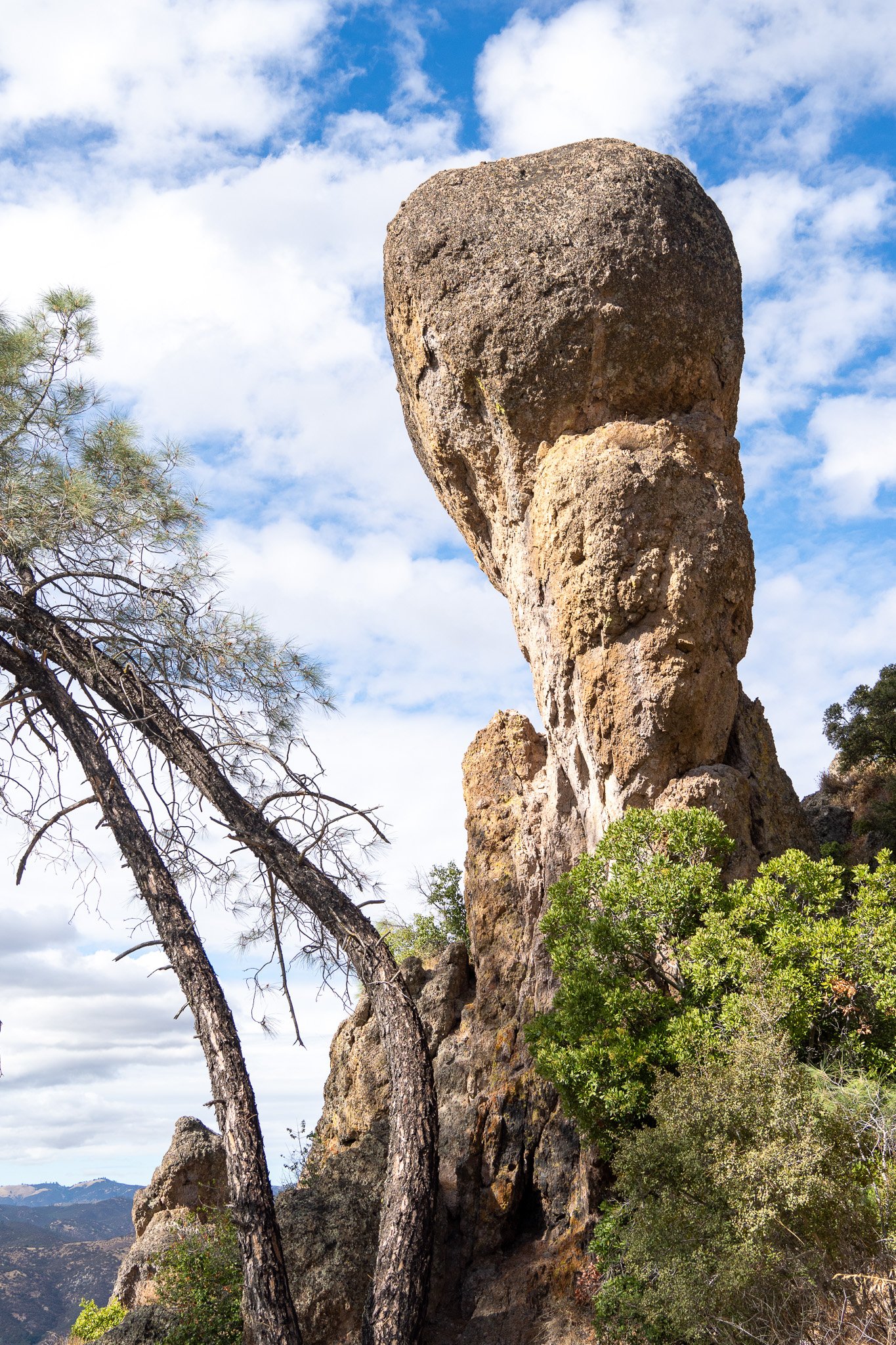 pinnacles and trees at pinnacles national park, usa.jpg