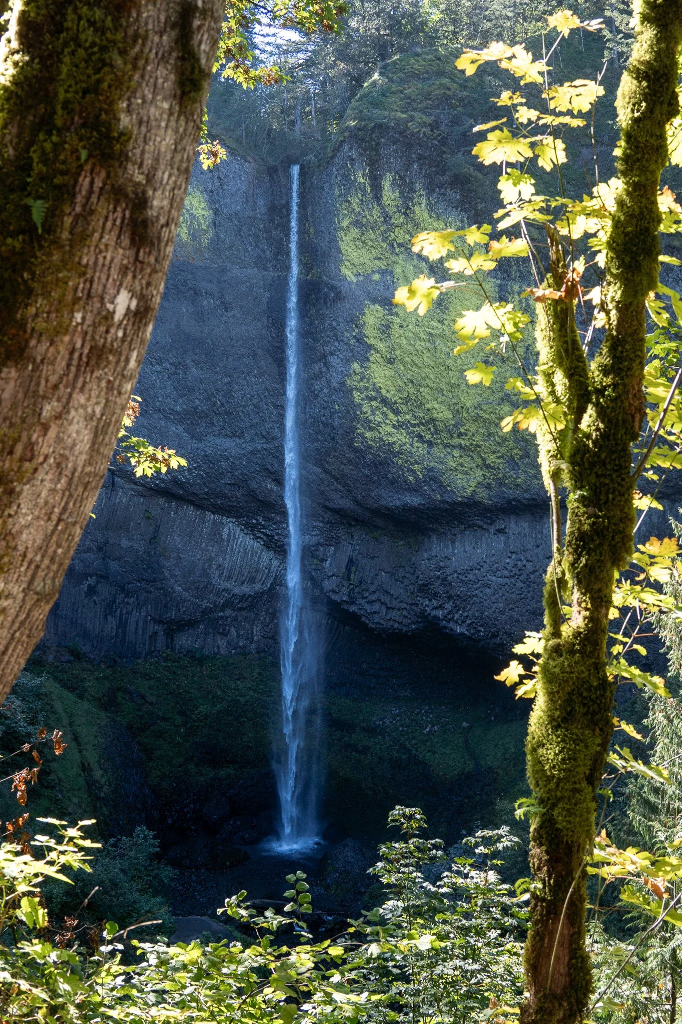 latourell waterfall, oregon, usa.jpg