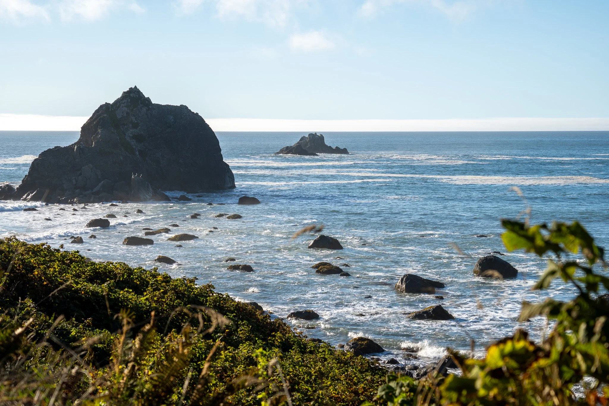 oceanview from redwood, california,usa.jpg