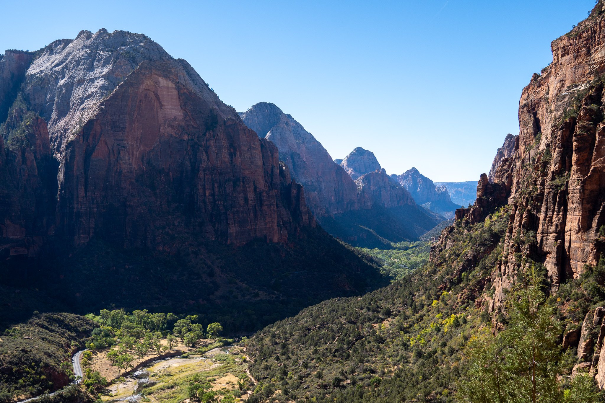 views of zion, utah, usa.jpg