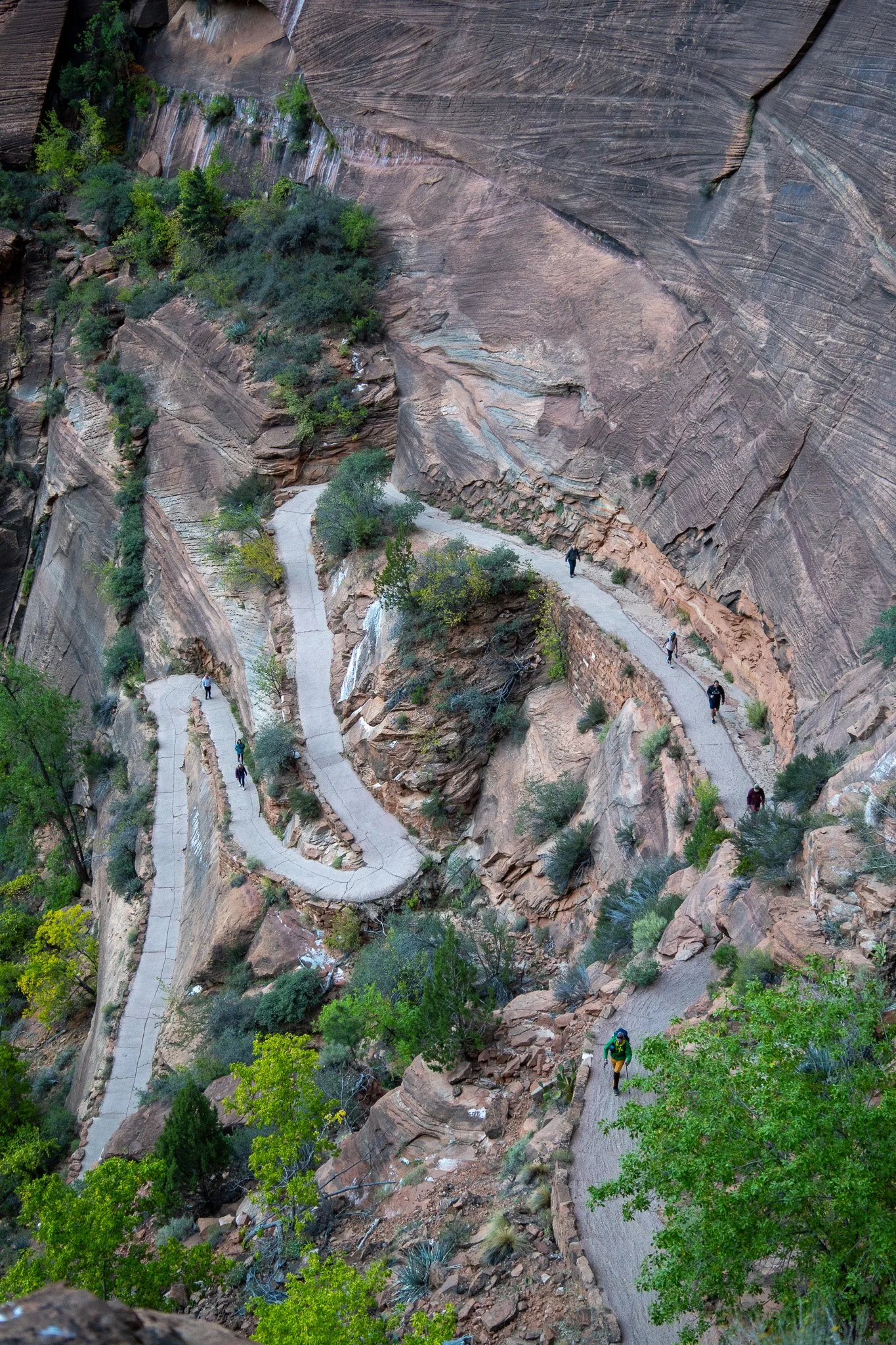 switch backs zion, utah, usa.jpg