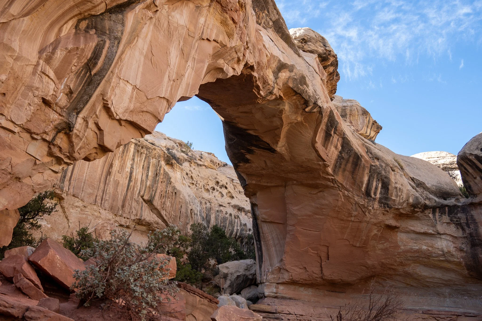 arch in capitol reef national park, usa.jpg