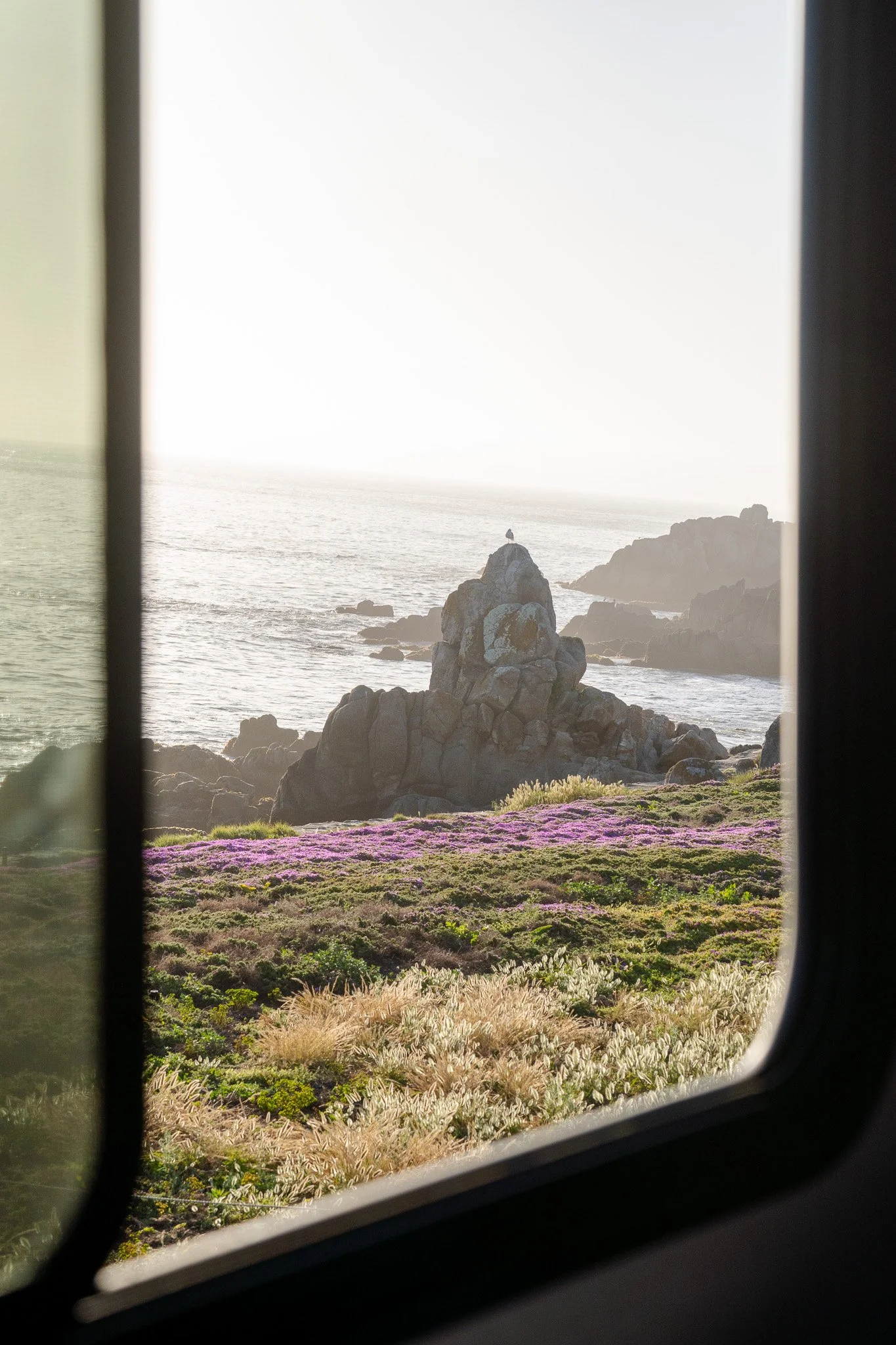 view from rv, monterey, california, usa.jpg