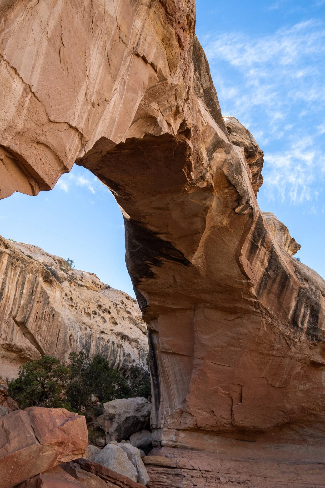 arch vertical capitol reef national park, usa.jpg