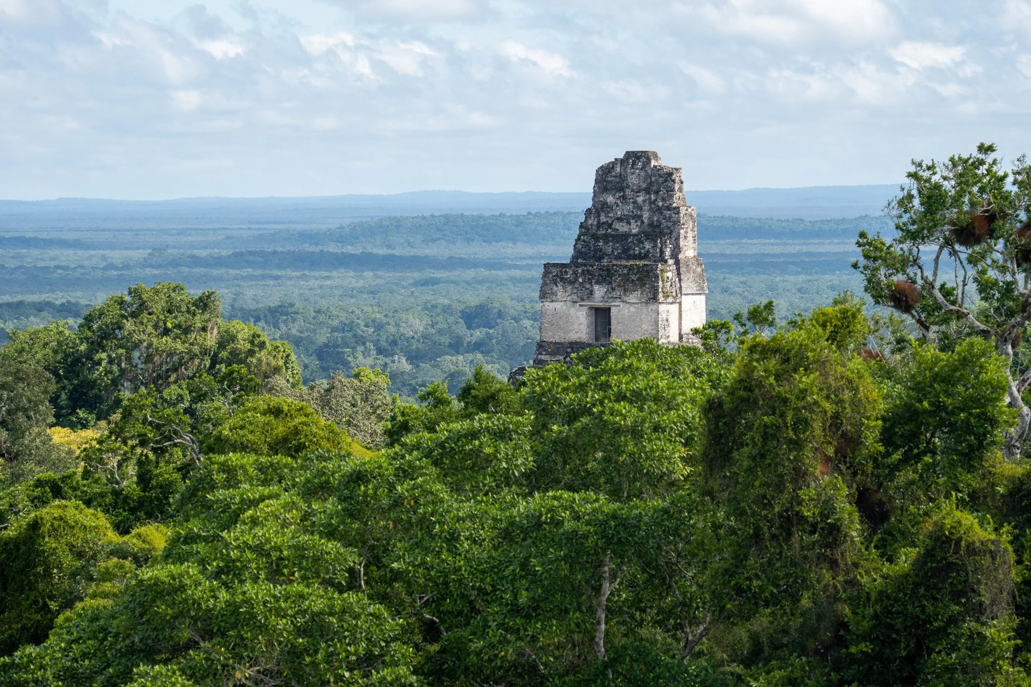 Nature Guatemala