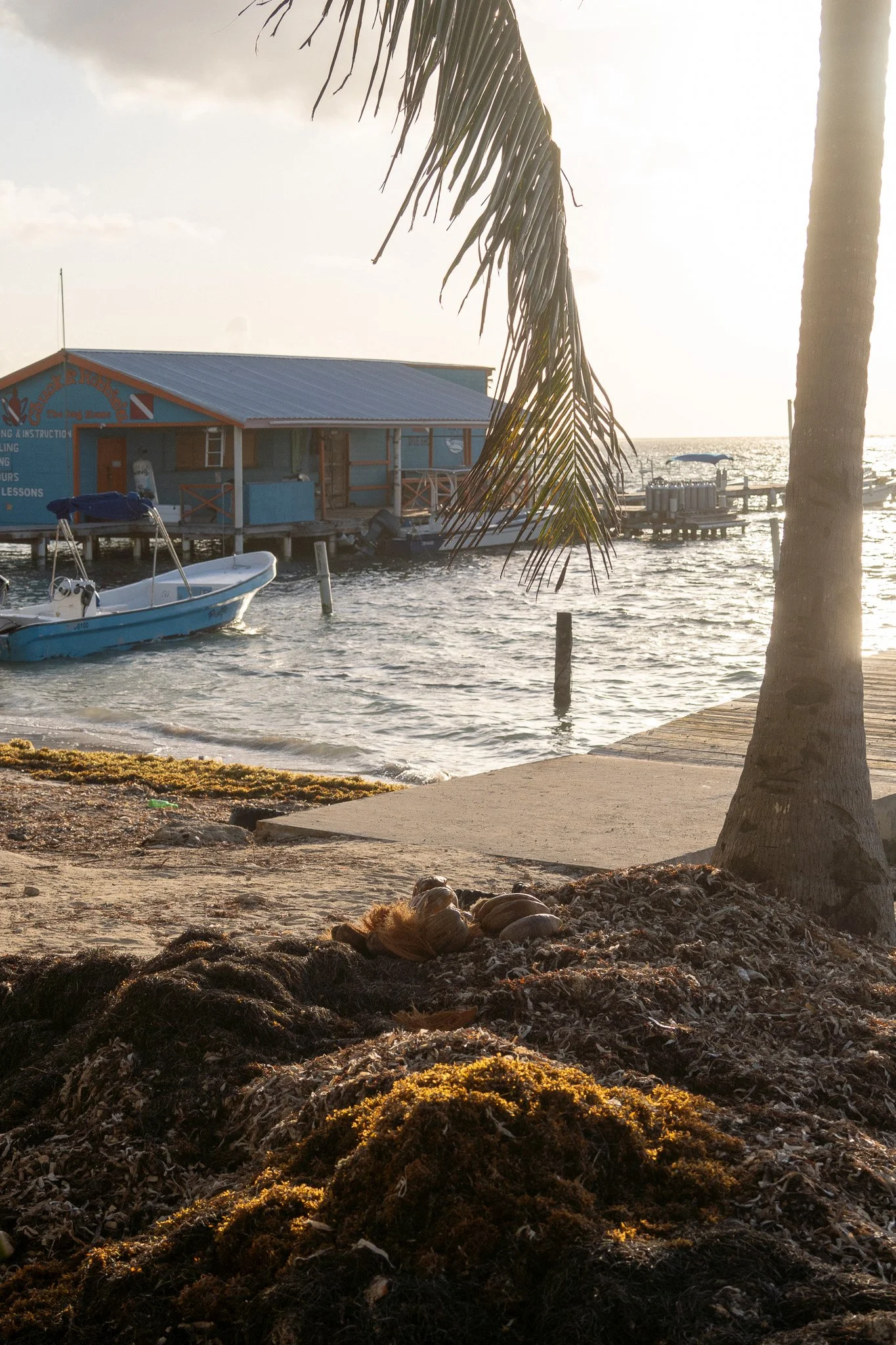 sunrise on san pedro, belize.jpg