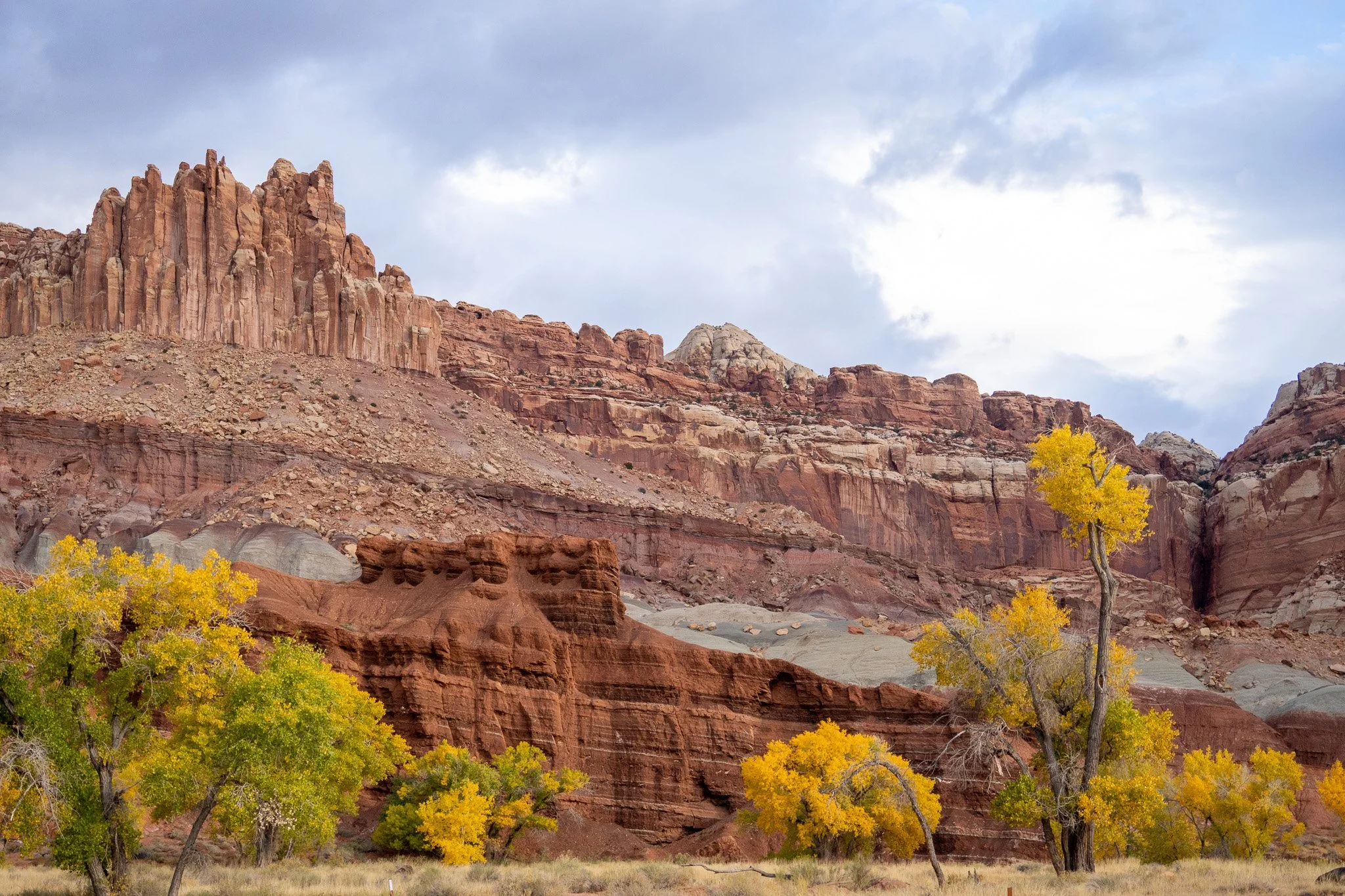fall colors of trees at capitol reef, utah, usa.jpg