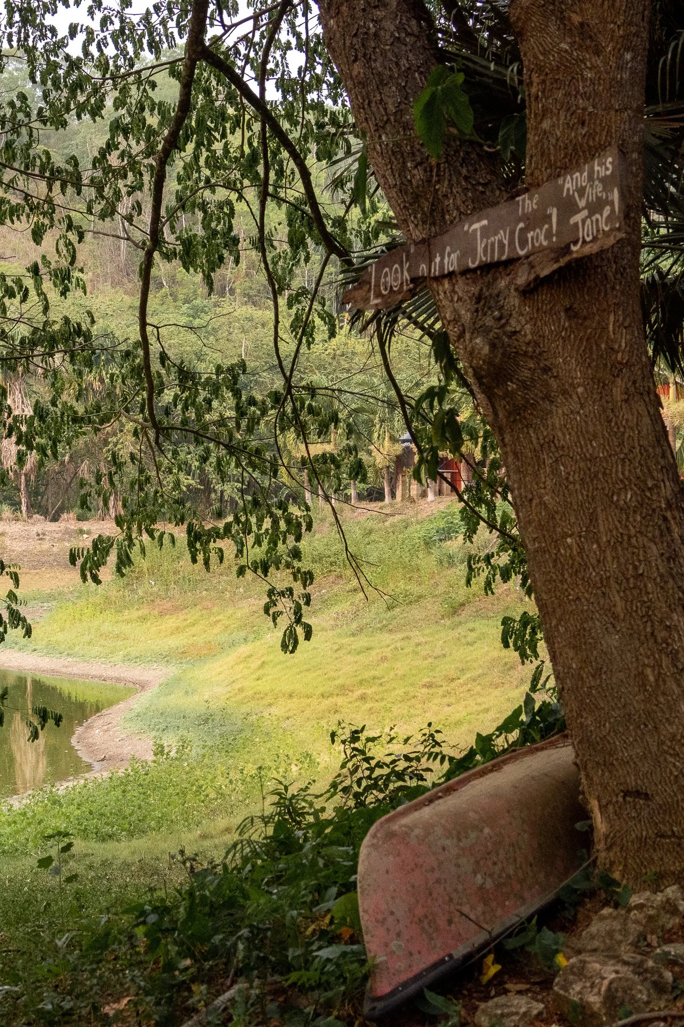 sign watch out for crocs, belize.jpg