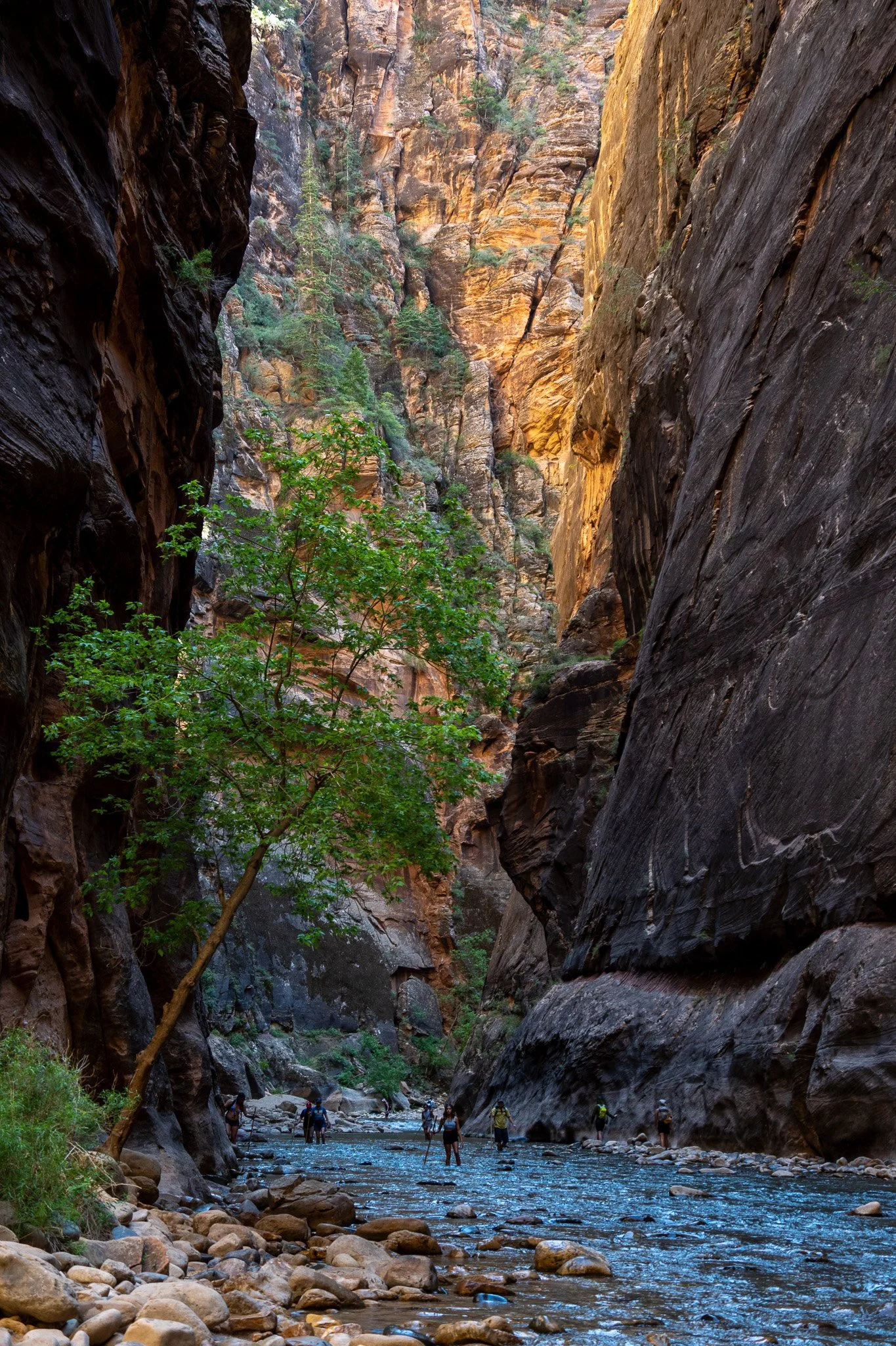 inside the narrows, zion, utah, usa.jpg
