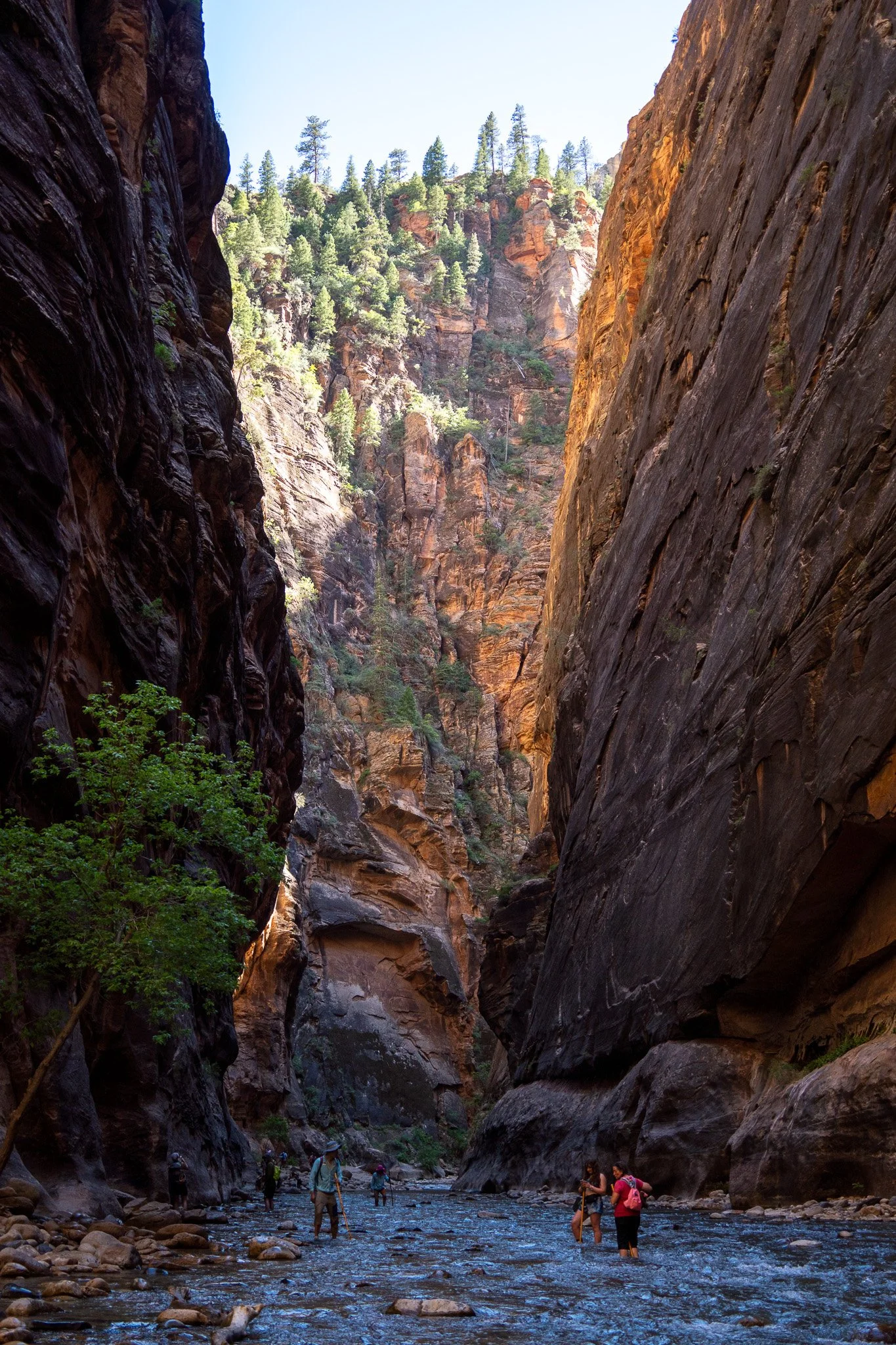 narrows hike, zion, utah, usa.jpg