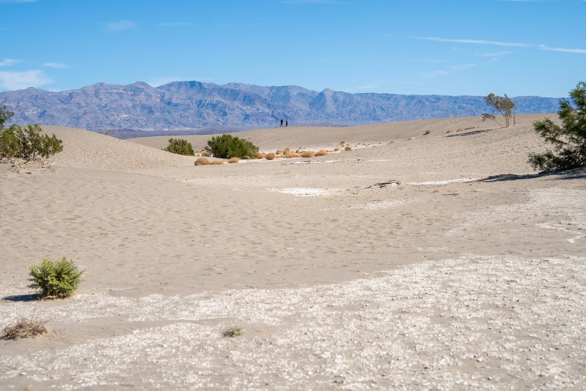 sand dunes at death valley national park, usa.jpg