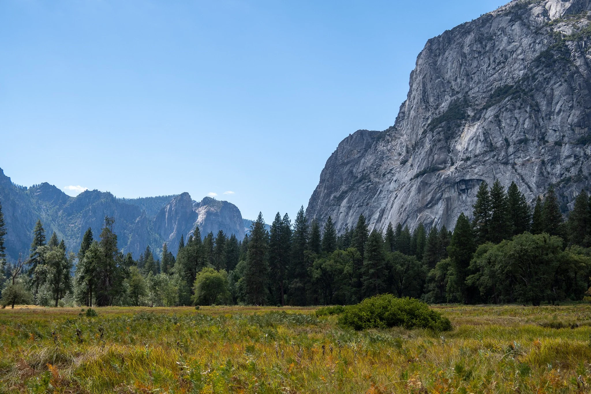 meadow and rocks at yosemite national park, usa.jpg