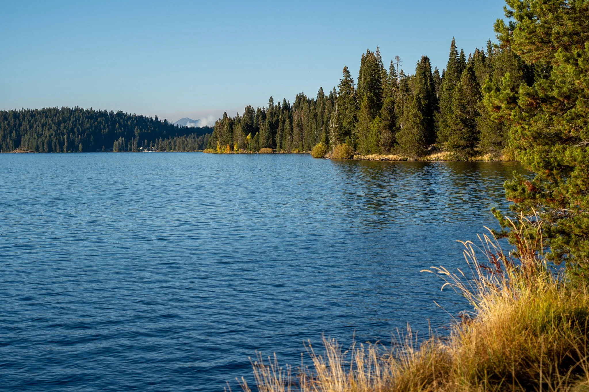 diamond lake, oregon, usa.jpg