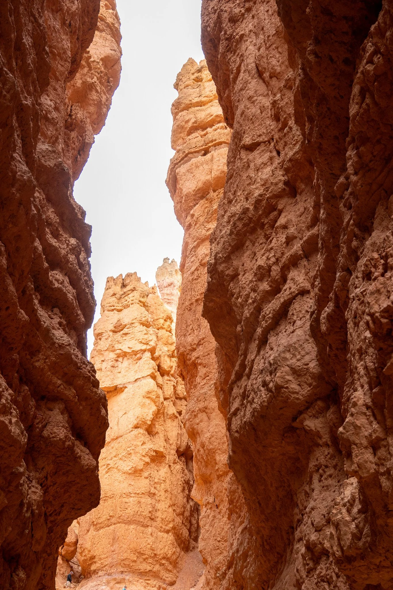 walking inside bryce canyon national park, usa.jpg