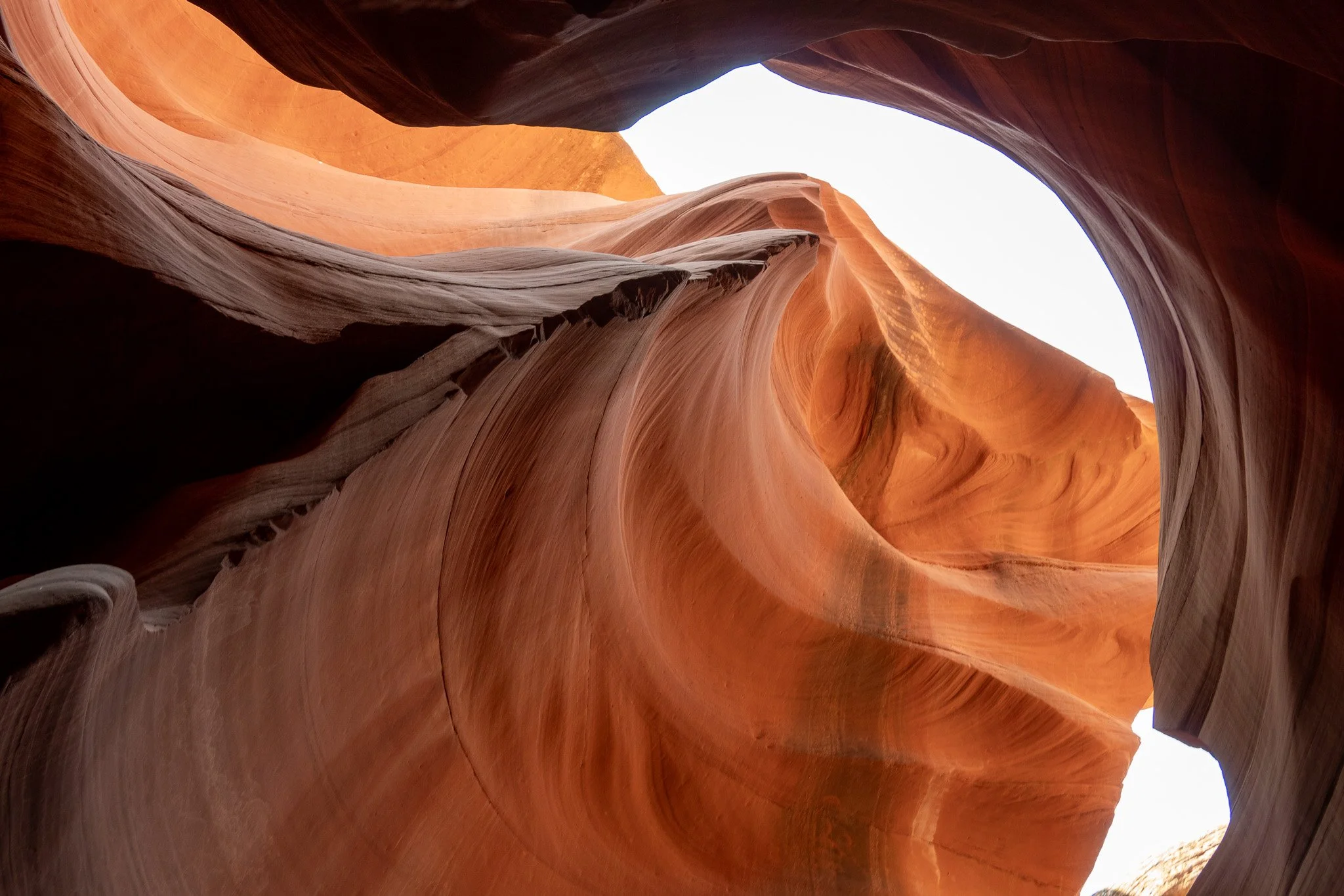 looking up in the lower antelope canyon, usa.jpg