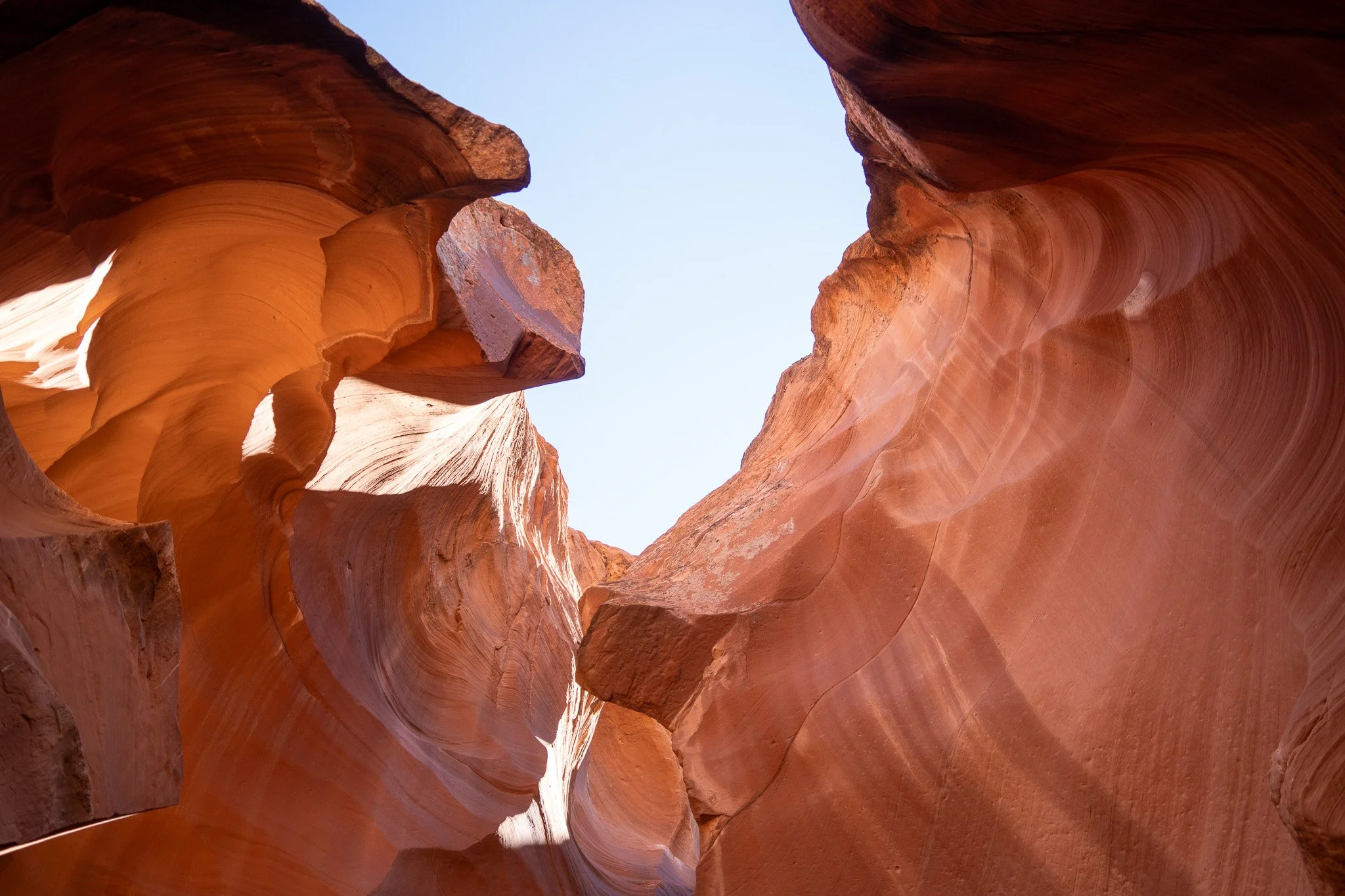 looking up inside antelope canyon, usa.jpg