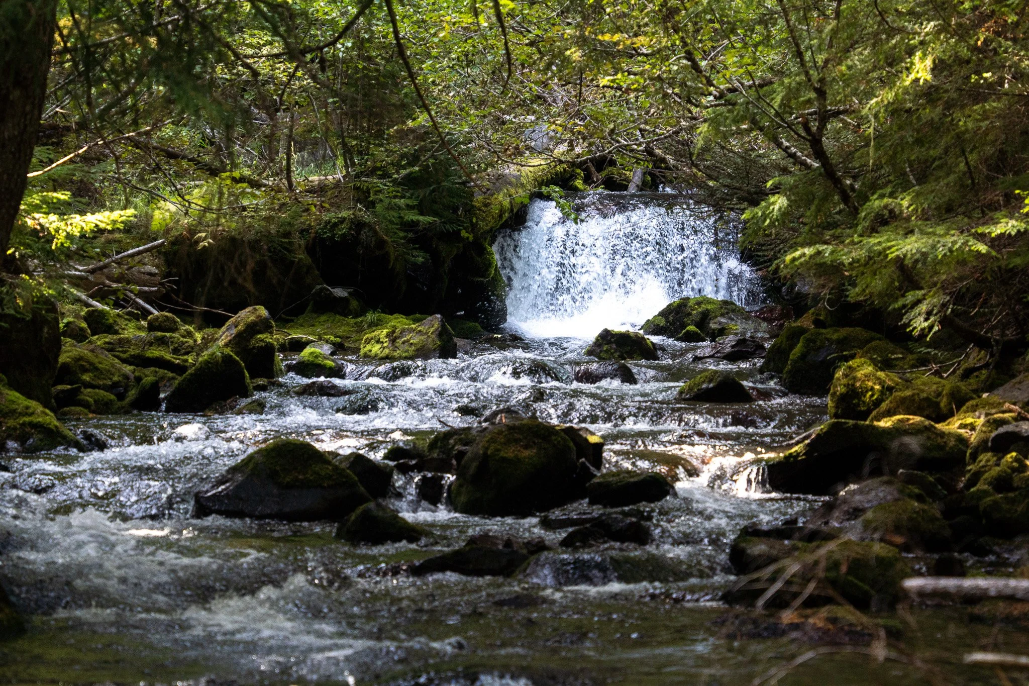river on way to tamanawas falls, oregon, usa.jpg