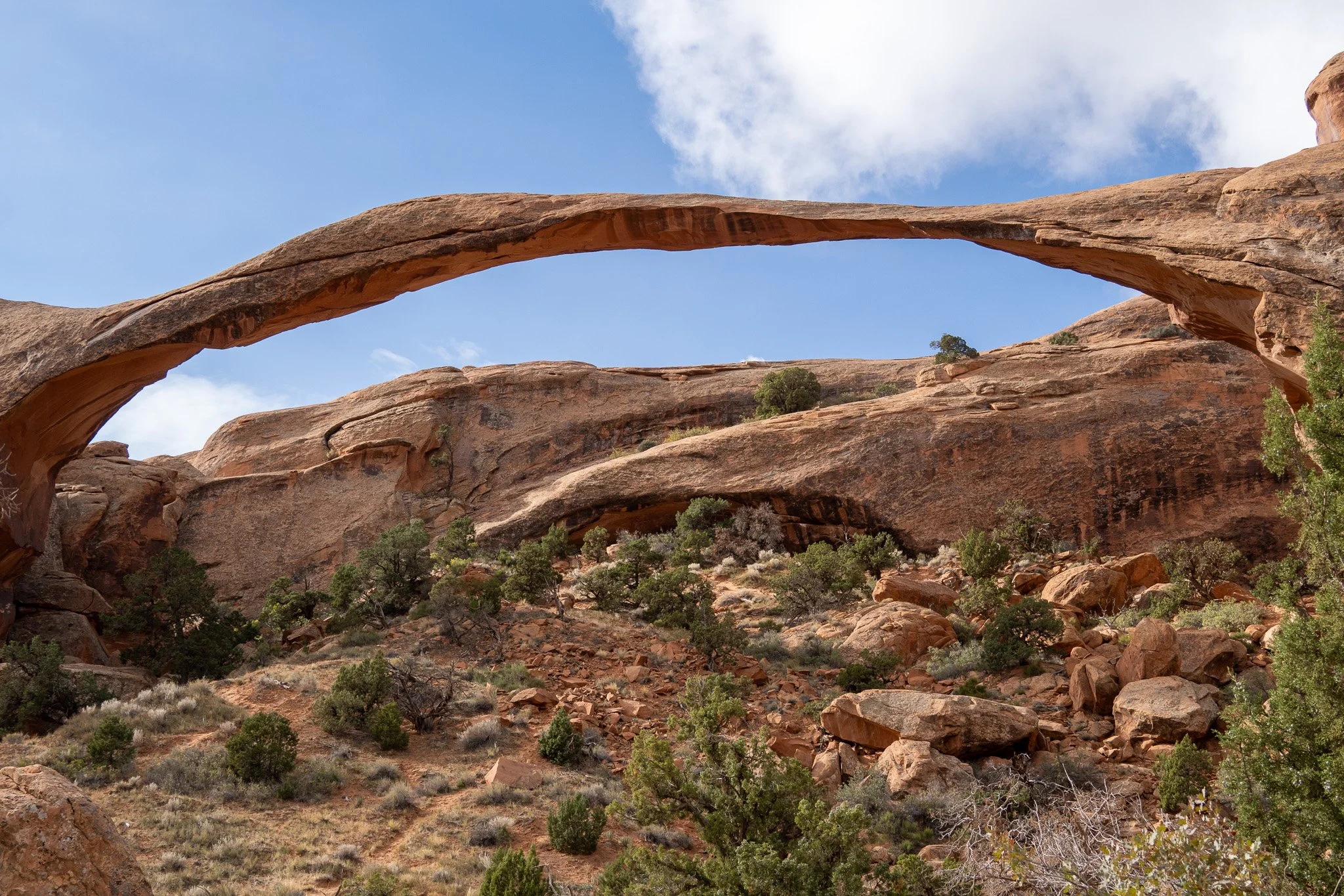 thin arch in arches national park,usa.jpg