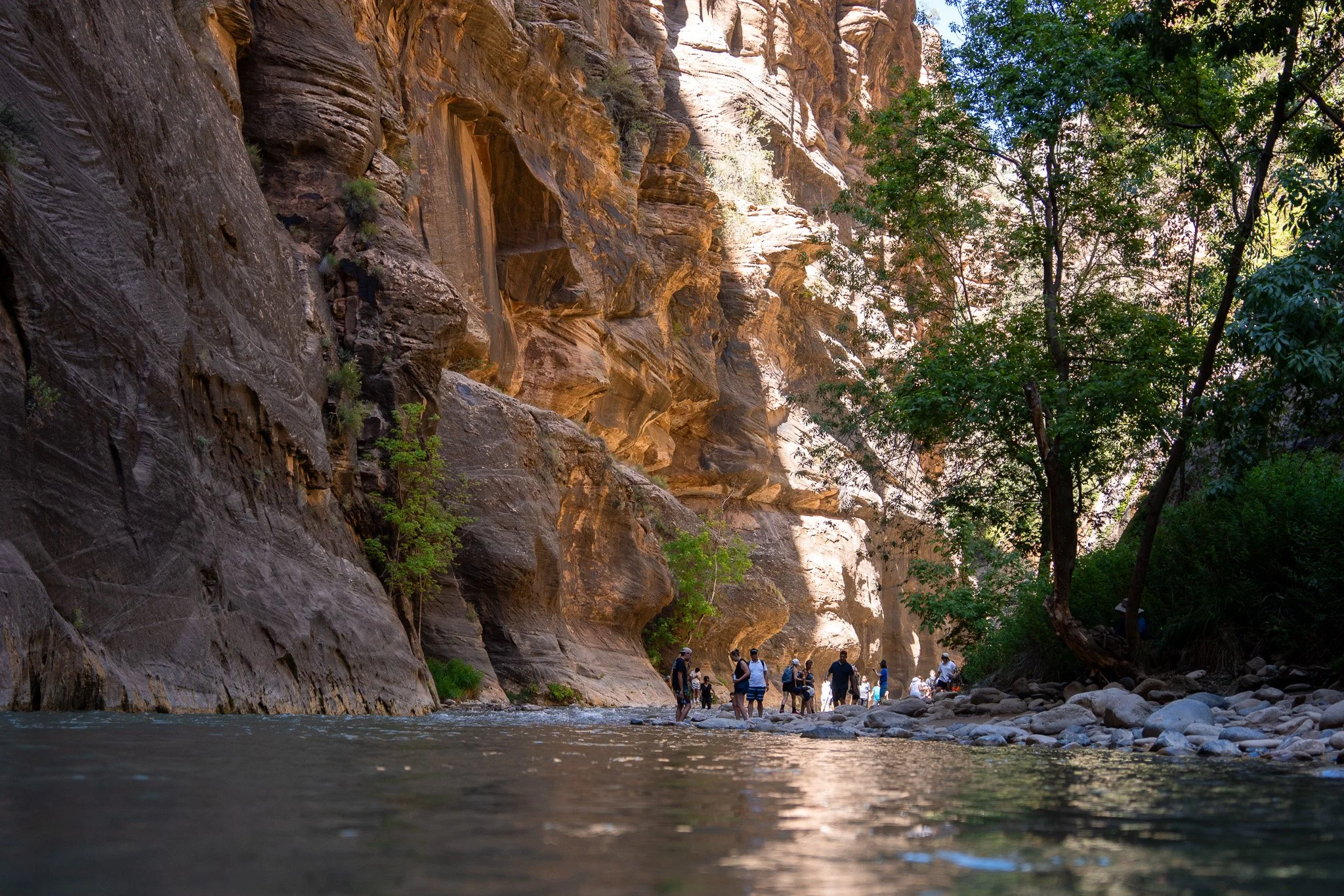 walking through narrows, zion, utah, usa.jpg